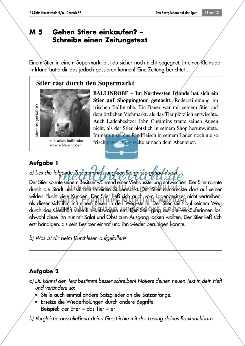Einen Zeitungstext umschreiben Preview 3