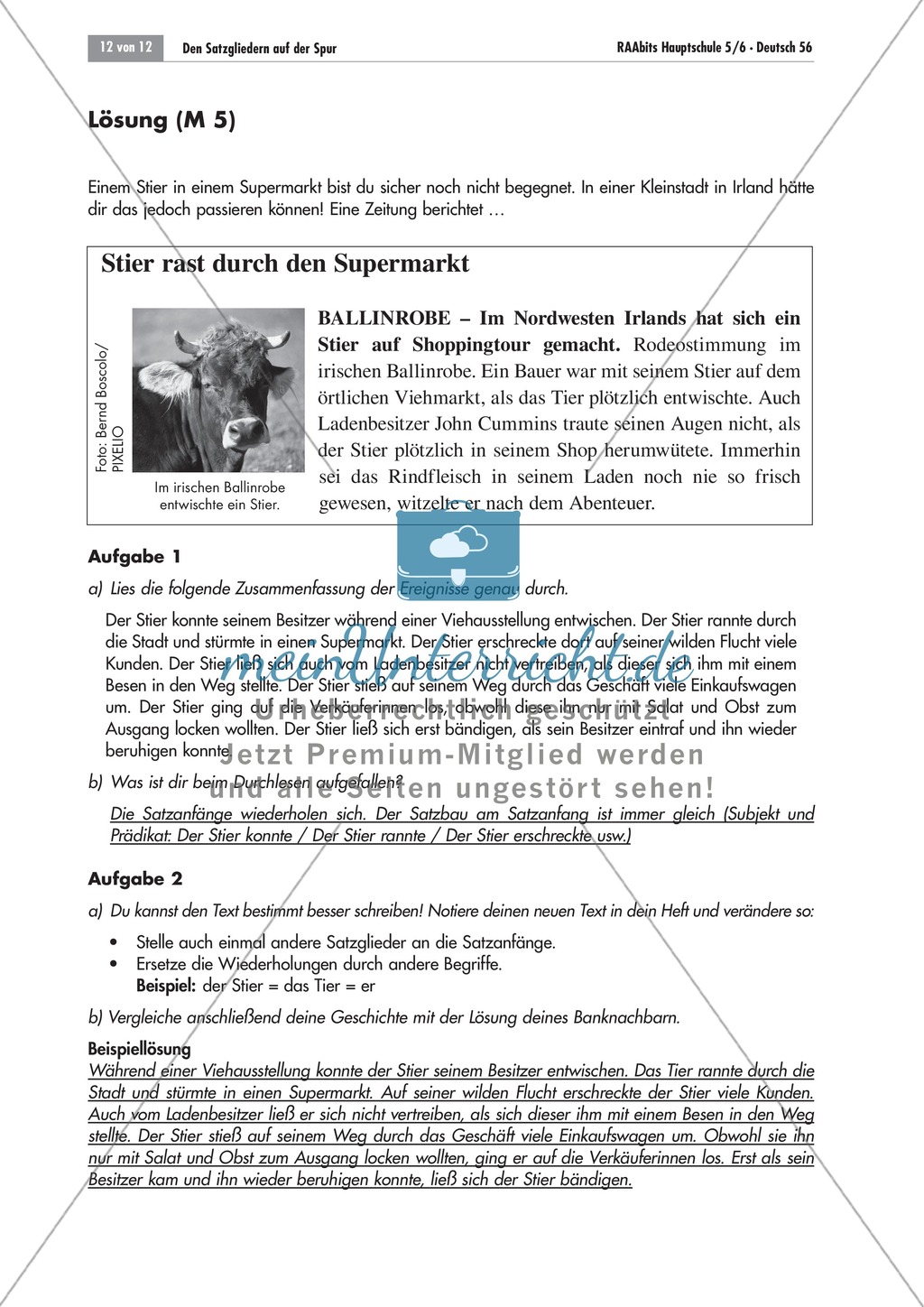 Einen Zeitungstext umschreiben Preview 4