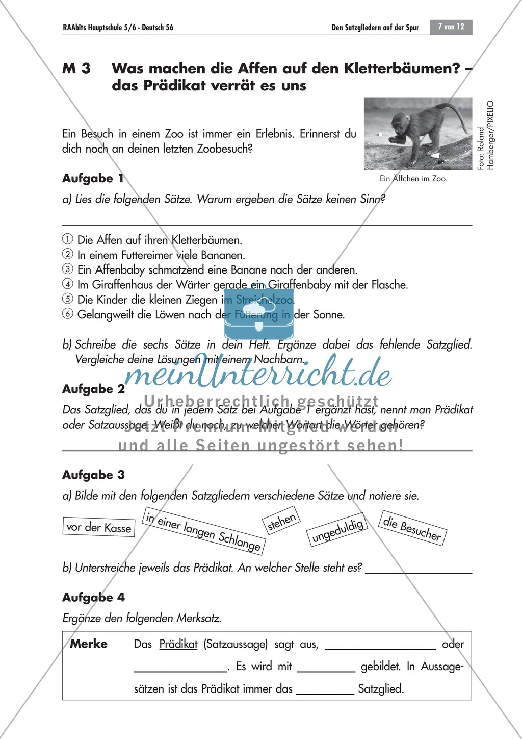Das Prädikat: unvollständige Sätze ergänzen + Bestimmungsfrage Preview 3