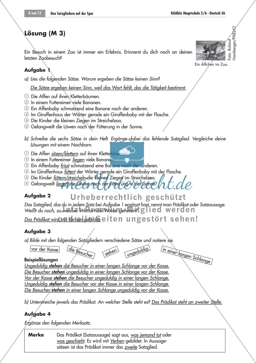 Das Prädikat: unvollständige Sätze ergänzen + Bestimmungsfrage Preview 4