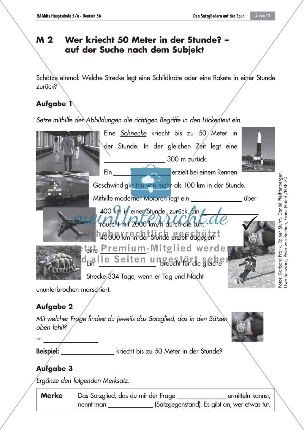 Das Subjekt: Lückentext + Bestimmungsfrage Preview 3