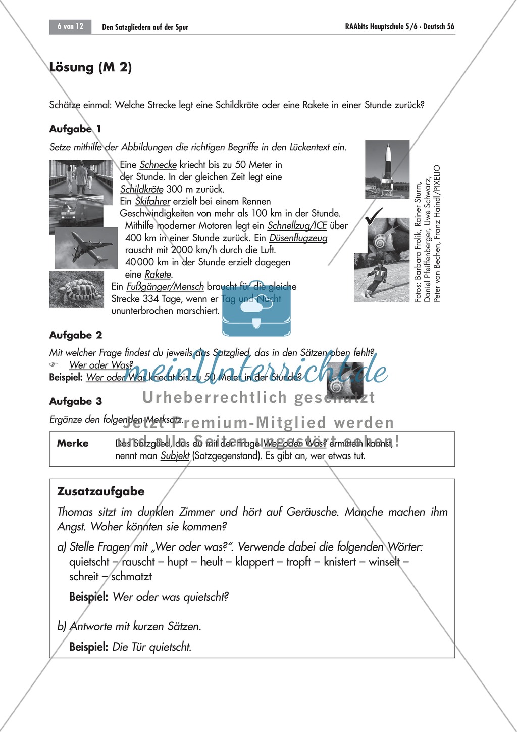 Das Subjekt: Lückentext + Bestimmungsfrage Preview 4