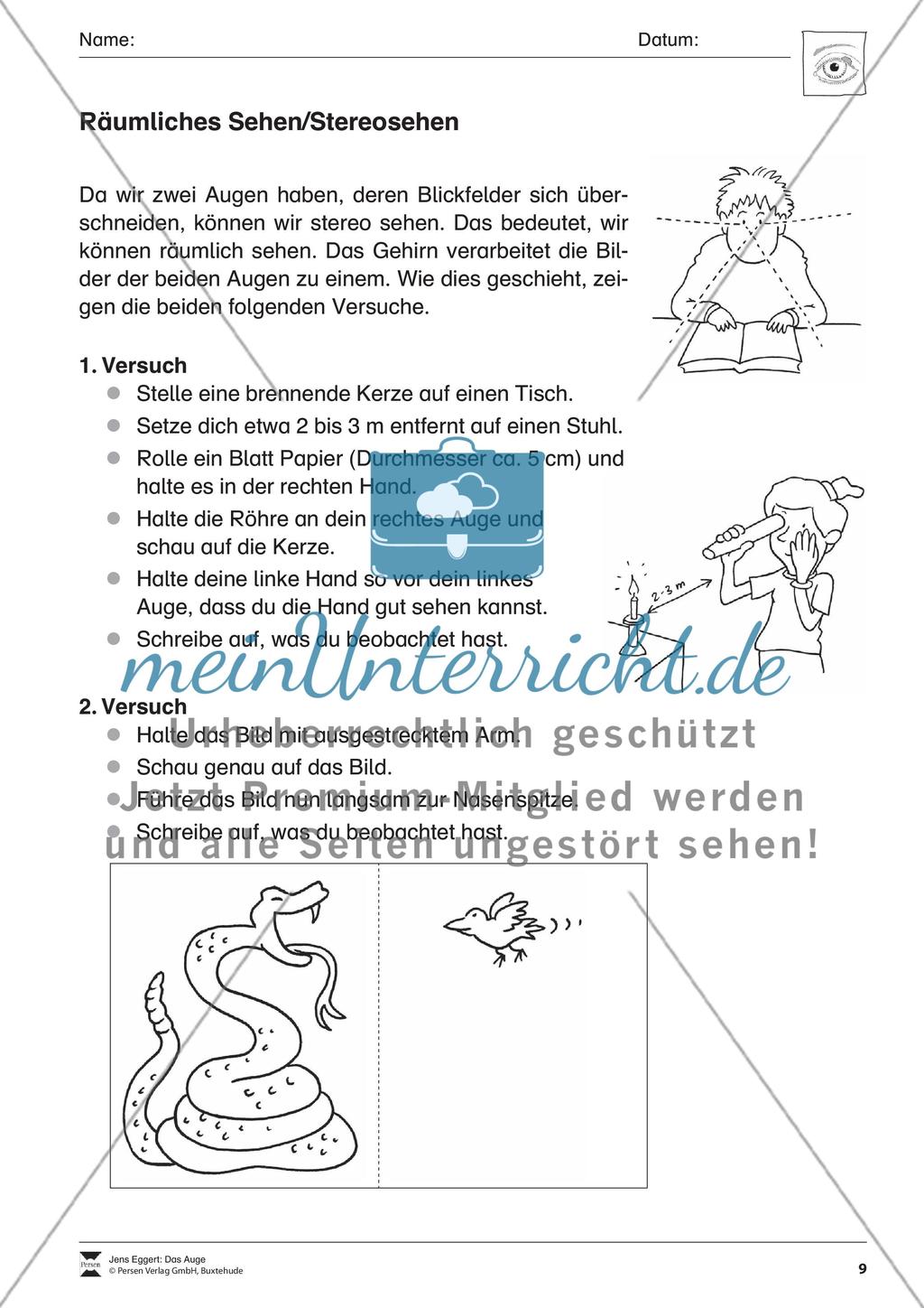 Das Auge Preview 10