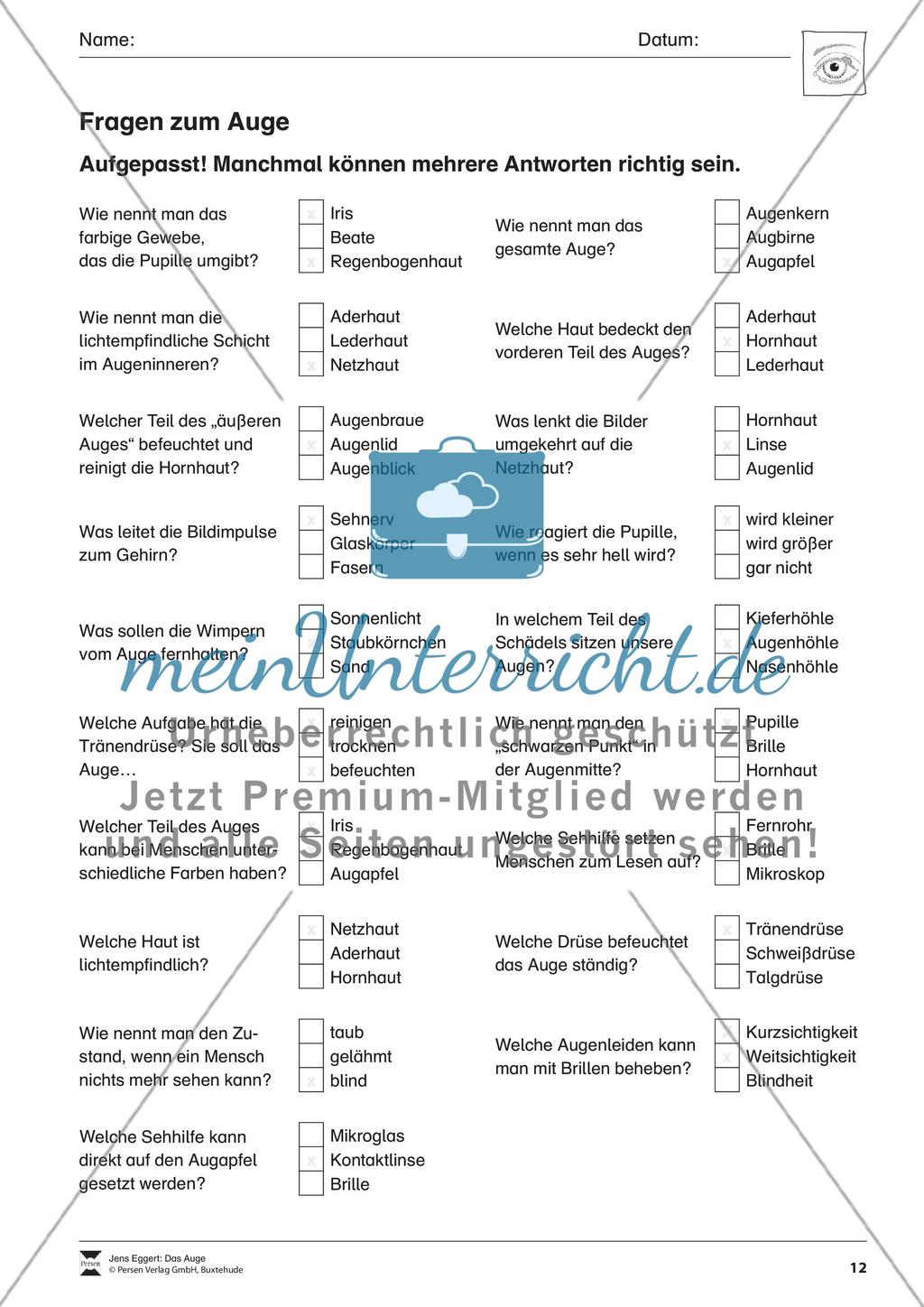 Das Auge Preview 13