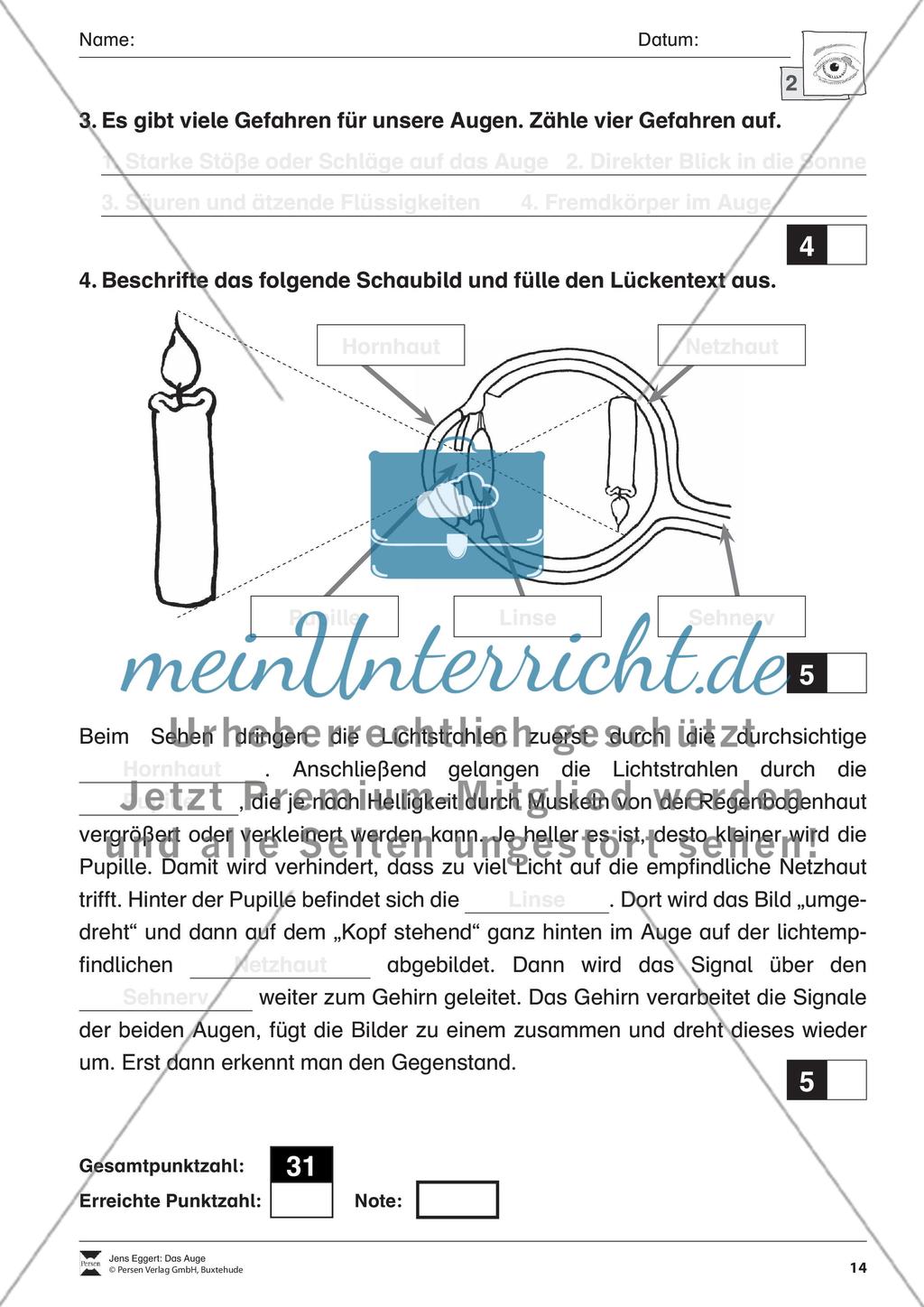 Das Auge Preview 15