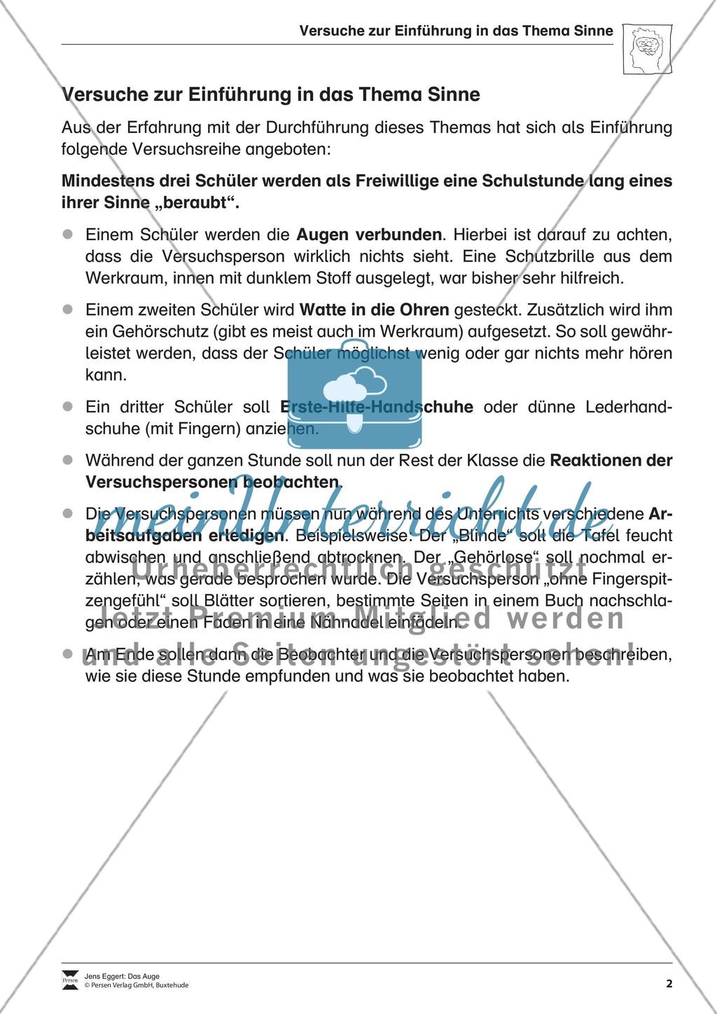 Das Auge Preview 3