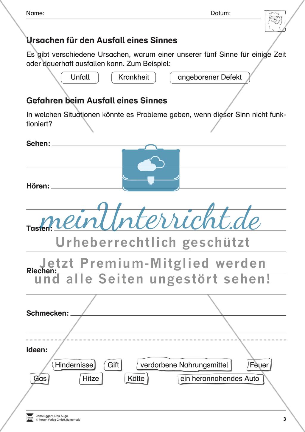 Das Auge Preview 4
