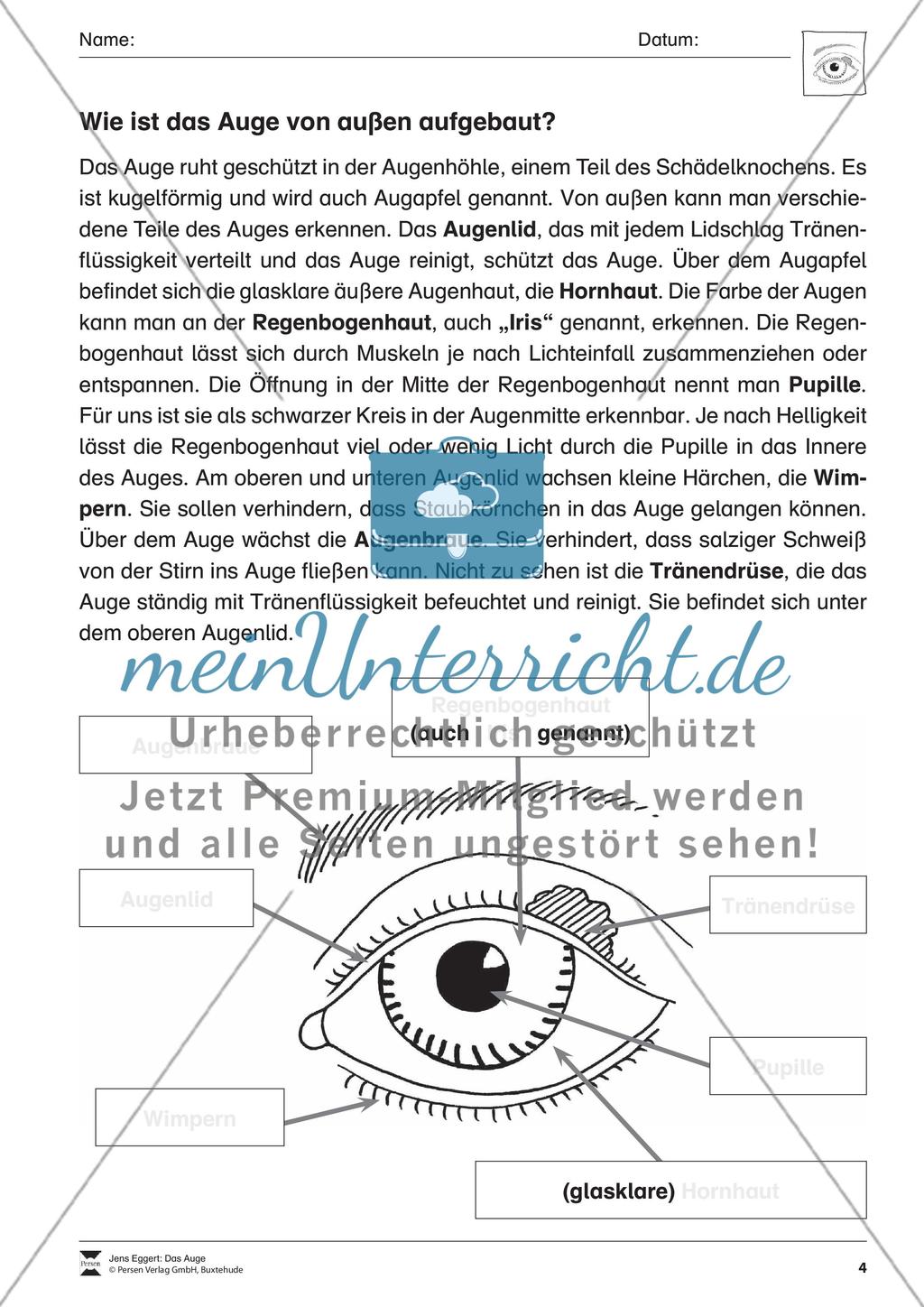 Das Auge Preview 5
