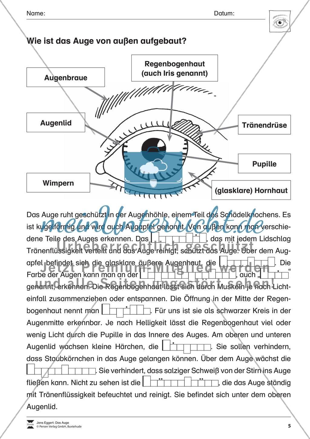 Das Auge Preview 6