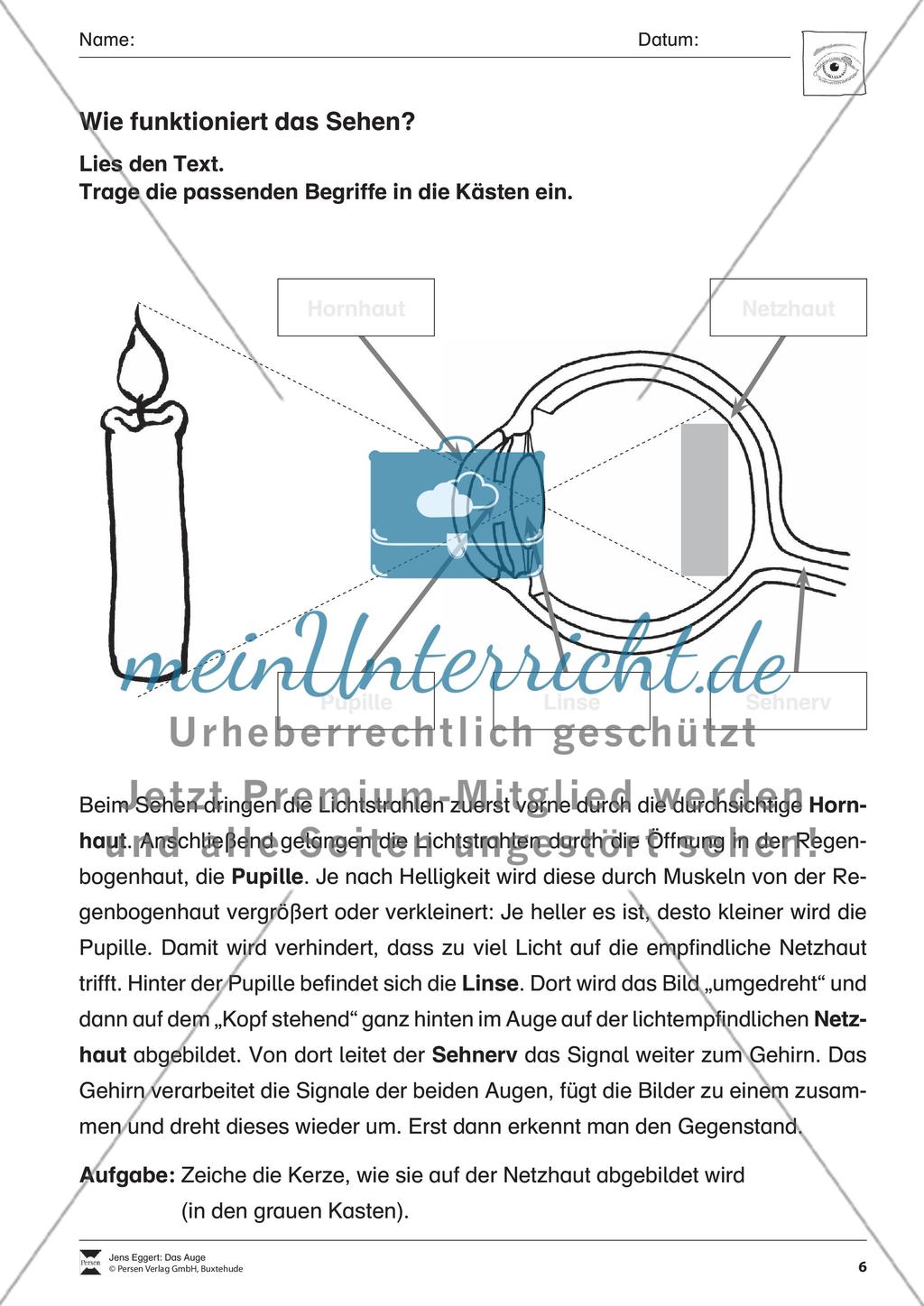 Das Auge Preview 7