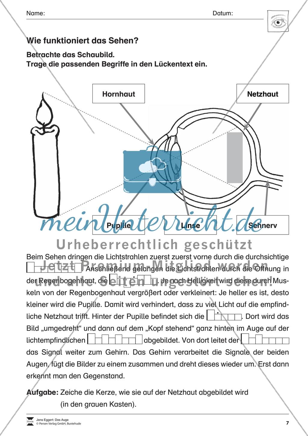 Das Auge Preview 8