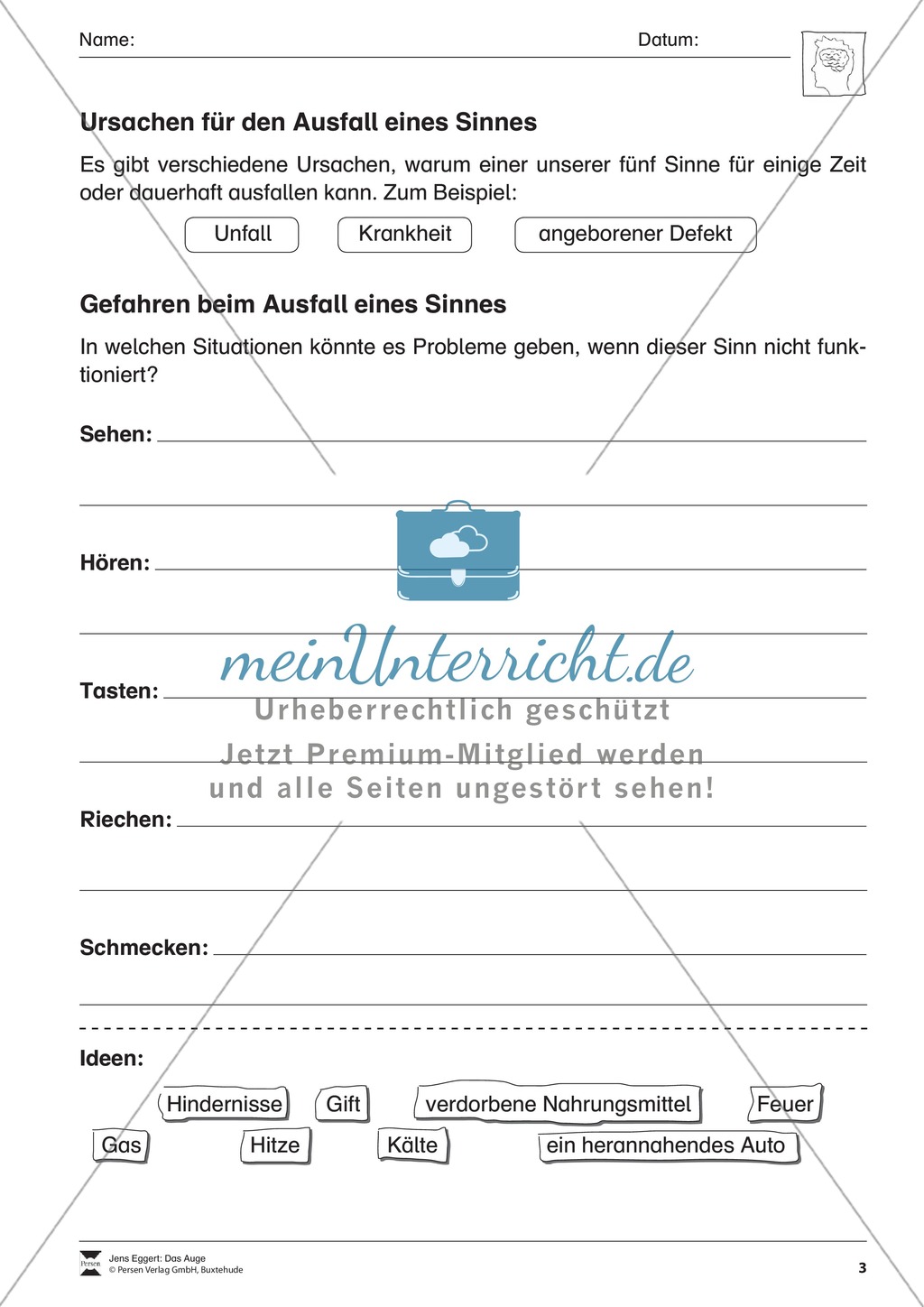 Einführung zu den Sinnesorganen mit Versuchen Preview 3