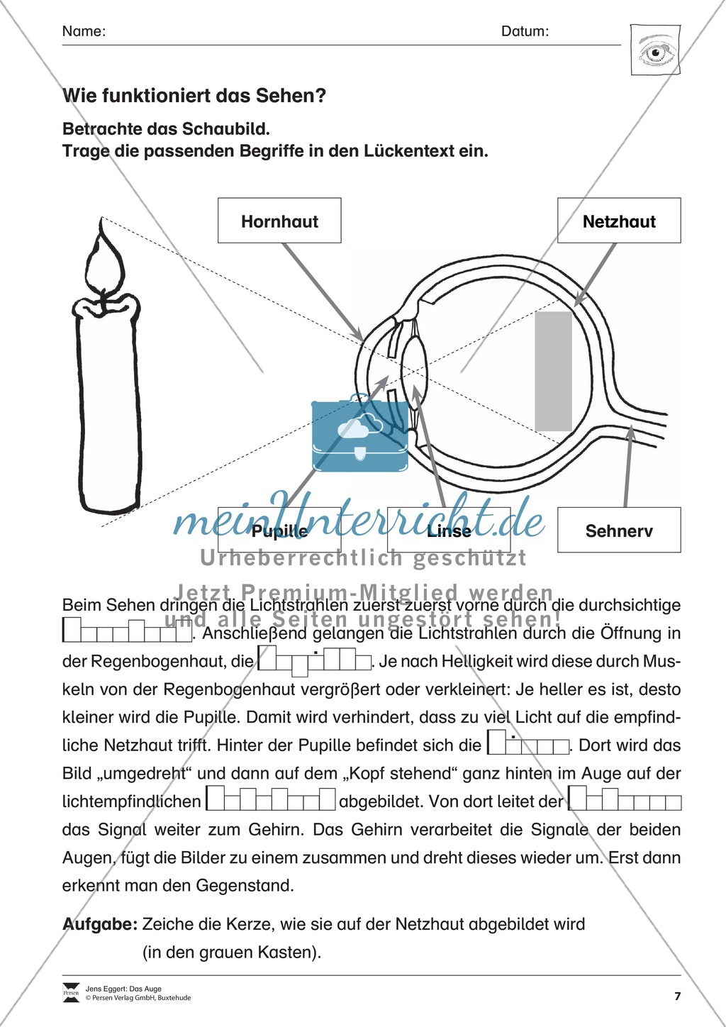 Wie funktioniert das Sehen + Gefahren für das Auge Preview 2