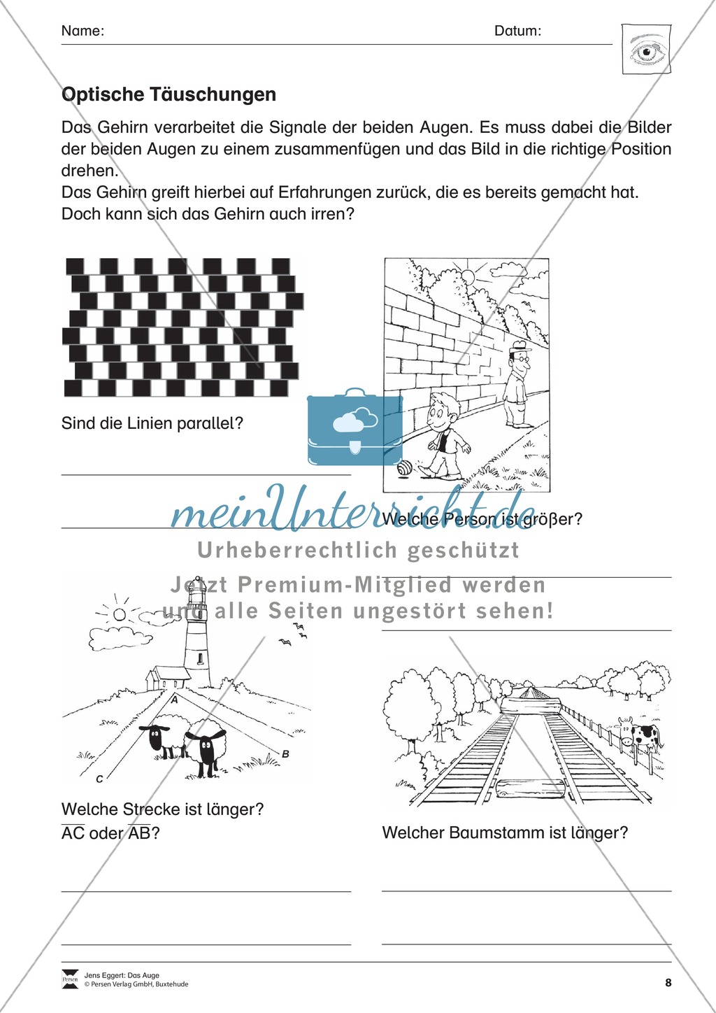Wie funktioniert das Sehen + Gefahren für das Auge Preview 3