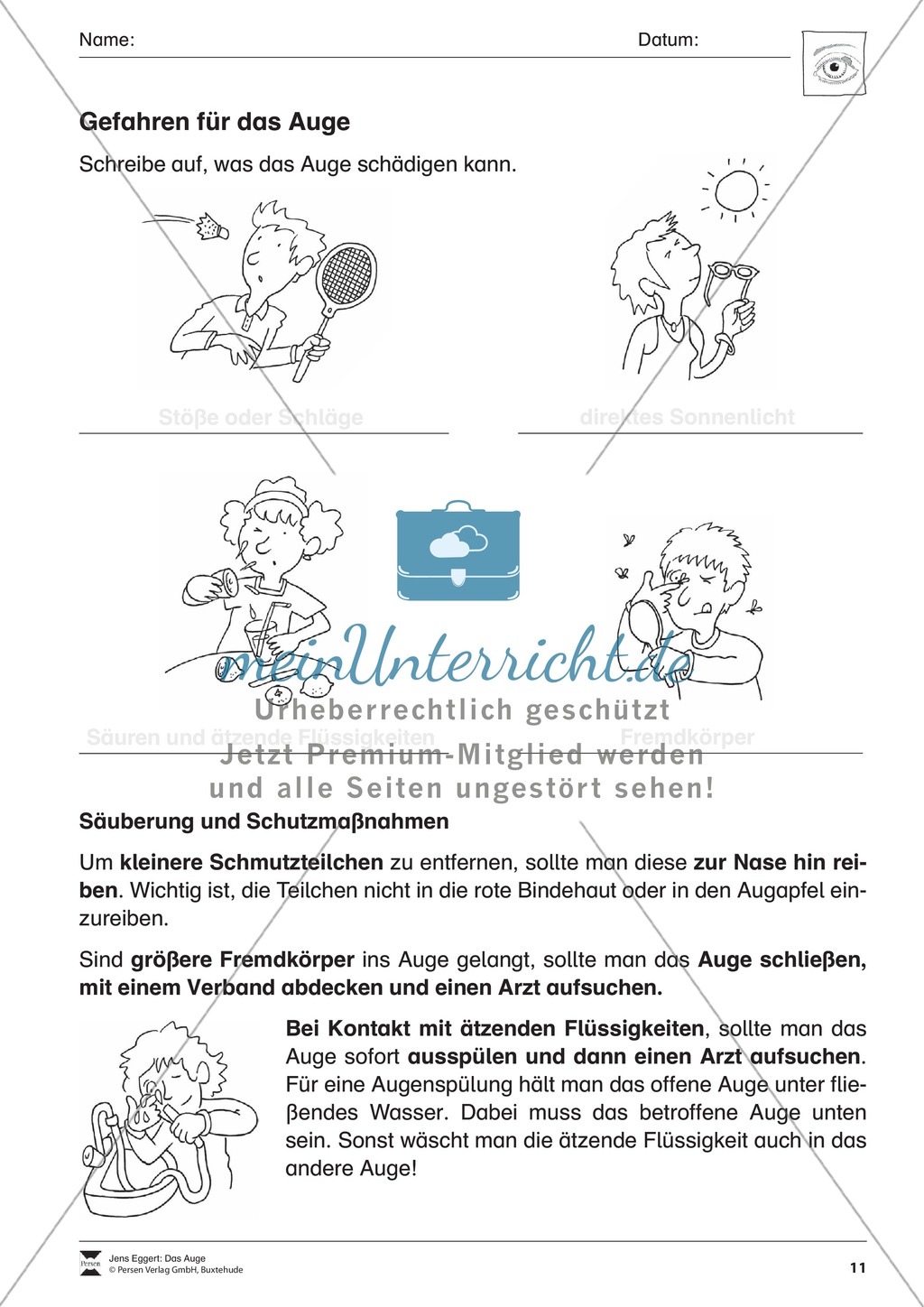 Wie funktioniert das Sehen + Gefahren für das Auge Preview 6