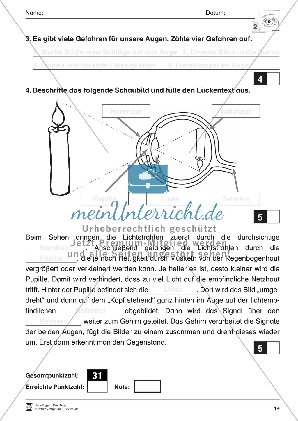 Test zu Funktion und Aufbau des Auges Preview 2