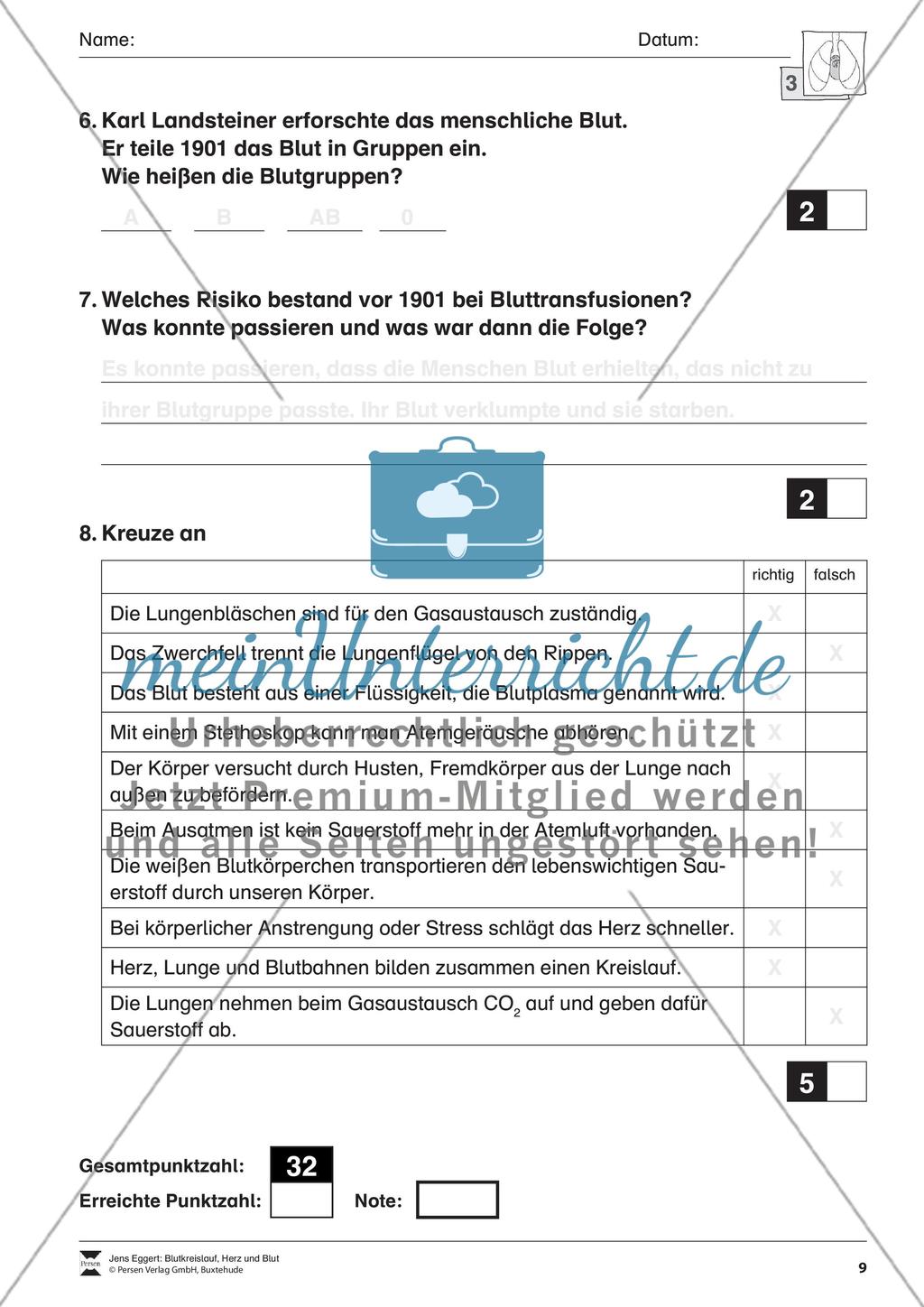 Blutkreislauf, Herz und Blut Preview 10
