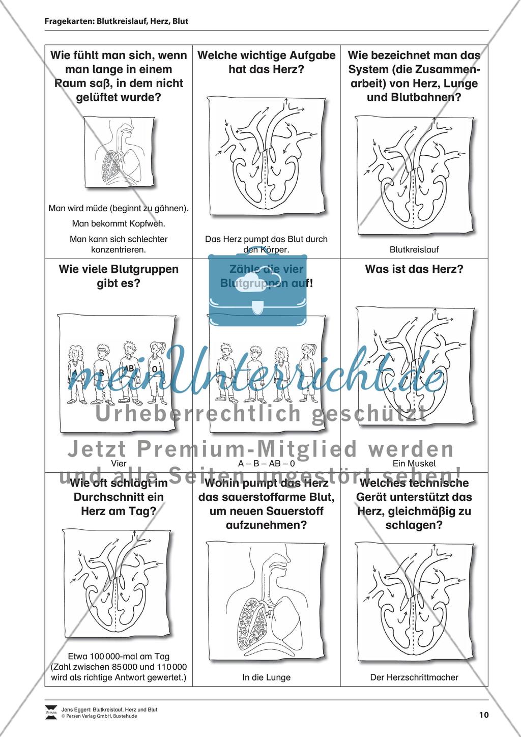 Blutkreislauf, Herz und Blut Preview 11
