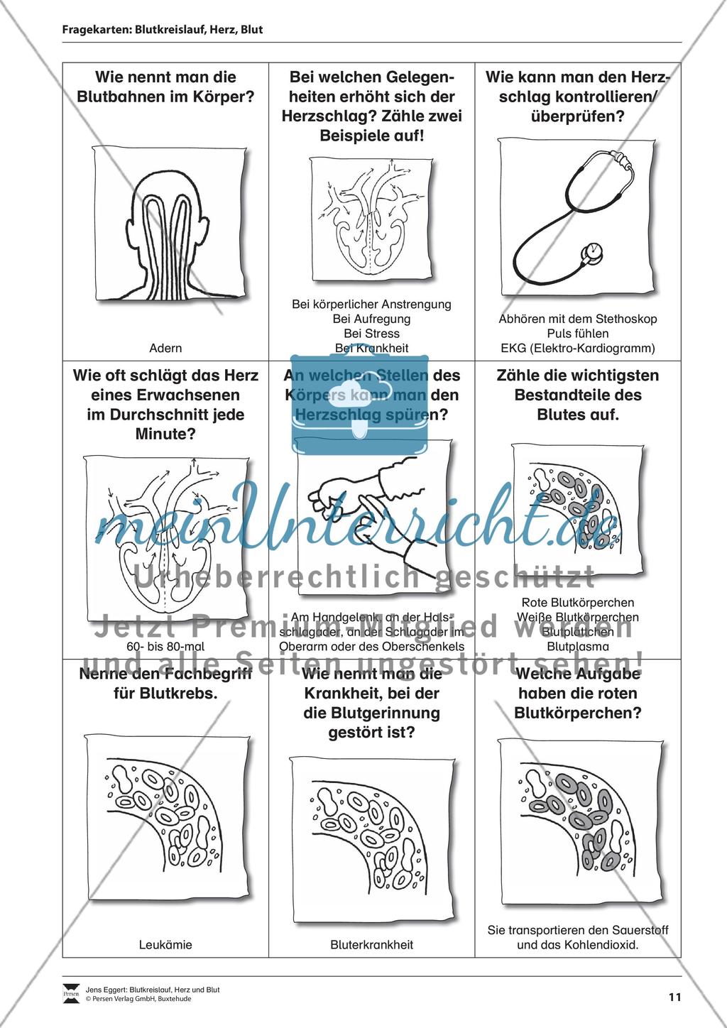 Blutkreislauf, Herz und Blut Preview 12