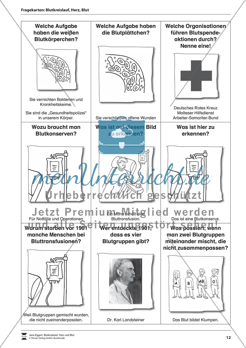 Blutkreislauf, Herz und Blut Preview 13
