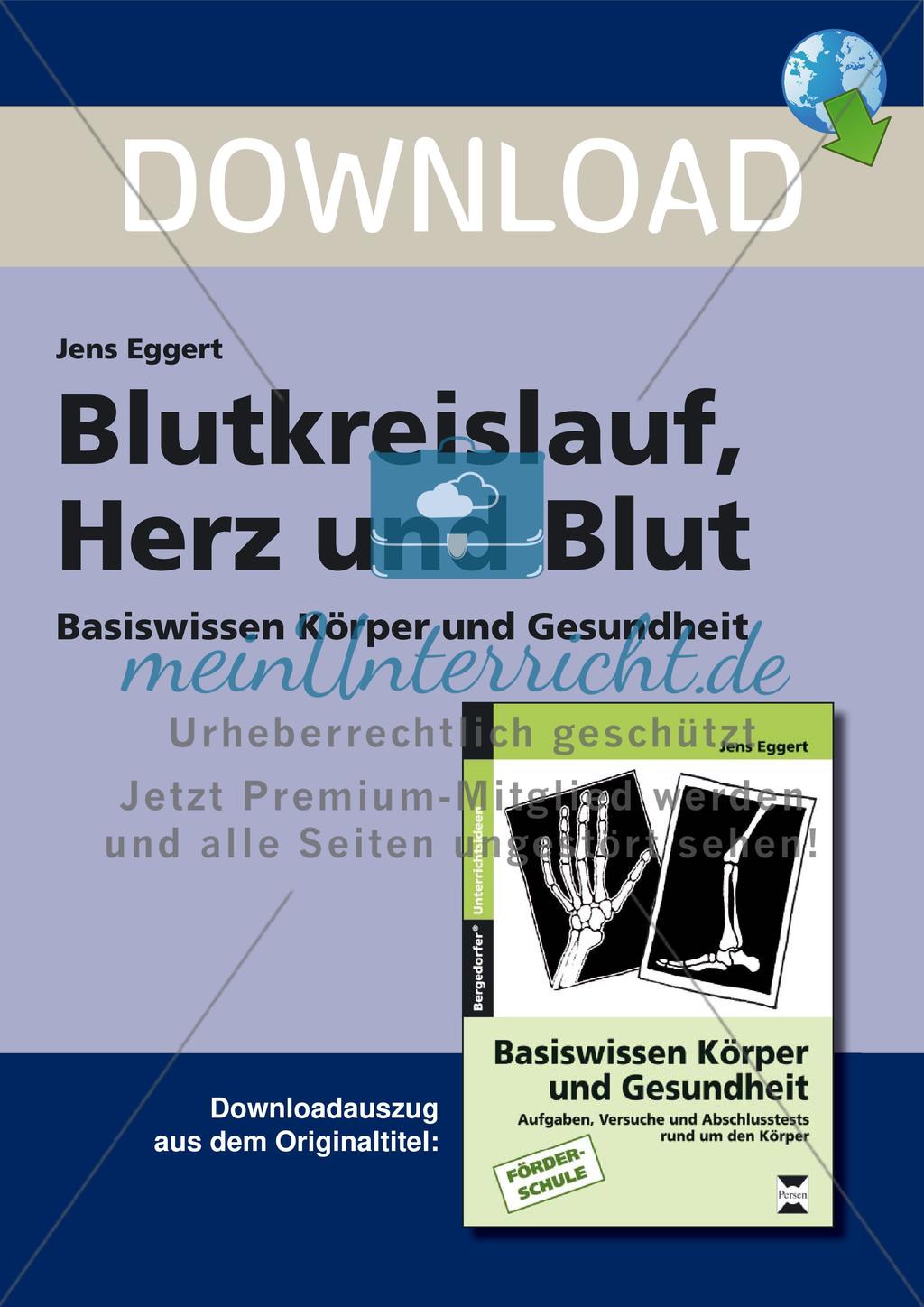 Blutkreislauf, Herz und Blut Preview 1