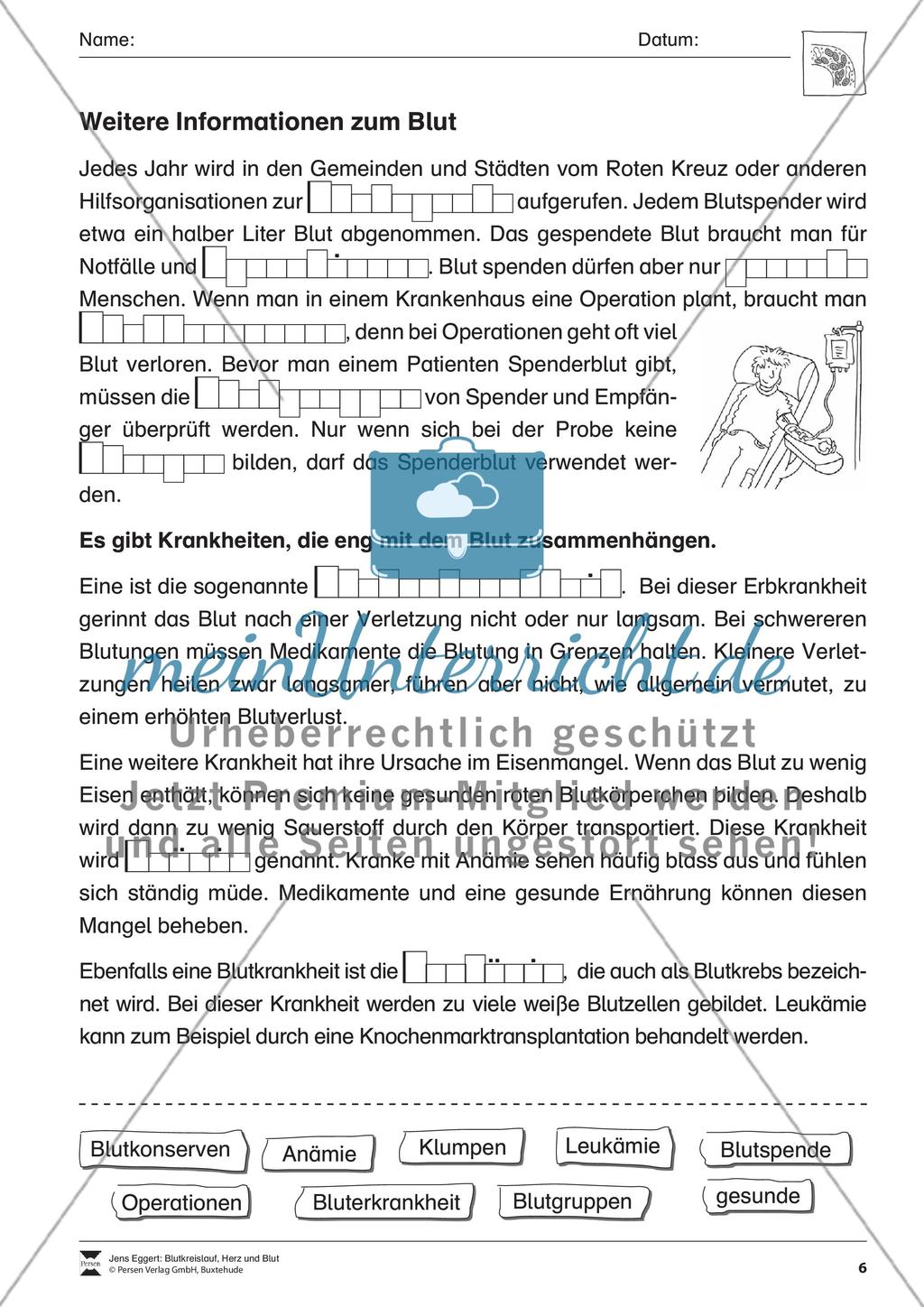 Blutkreislauf, Herz und Blut Preview 7