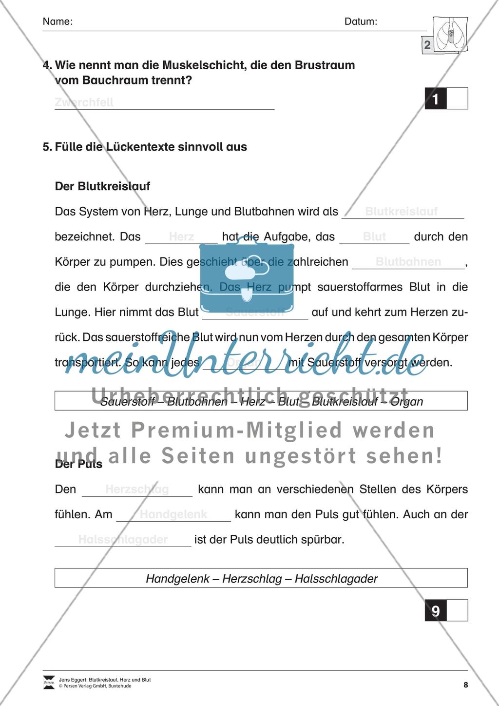 Blutkreislauf, Herz und Blut Preview 9
