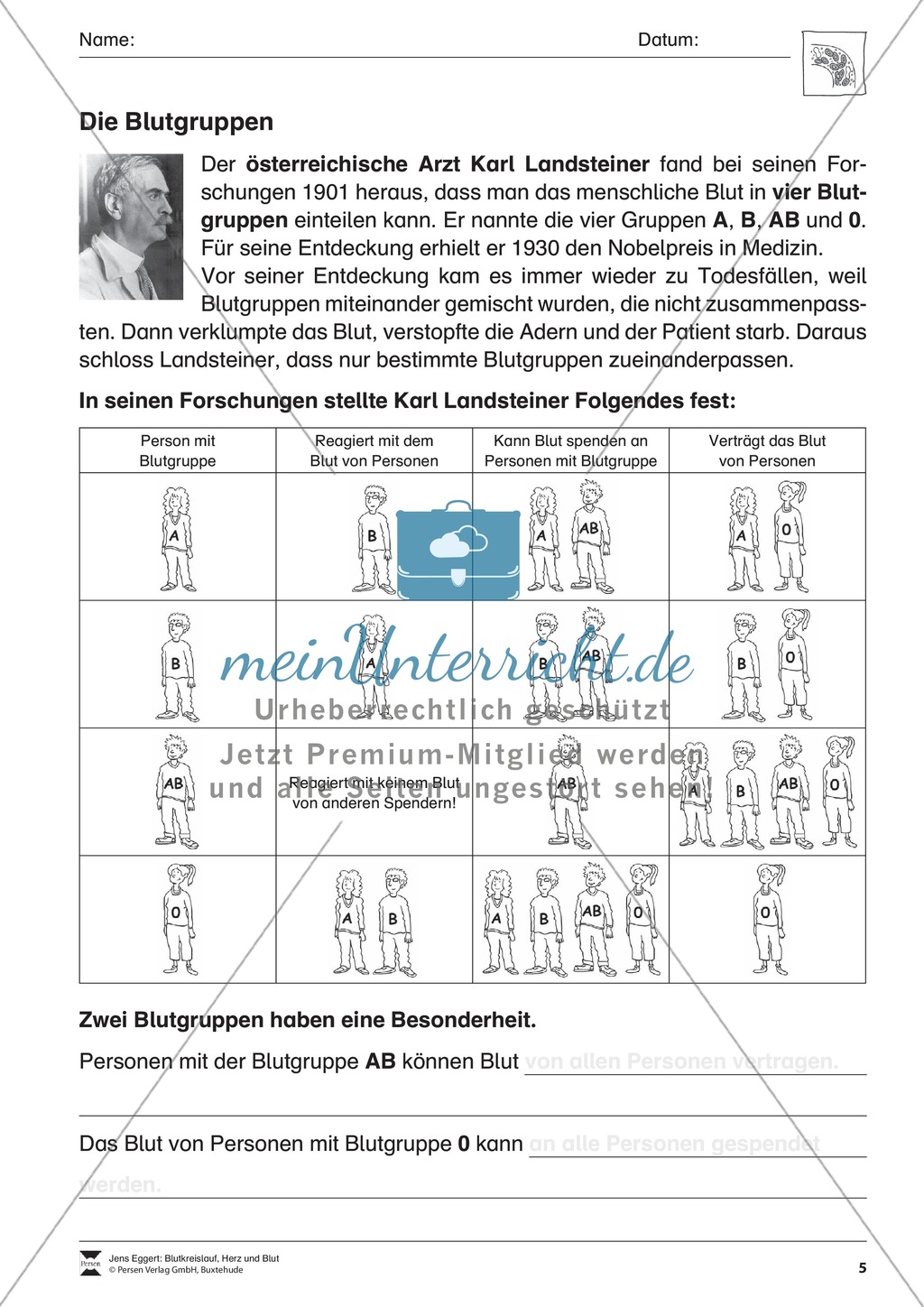 Fragen rund ums Blut Preview 2