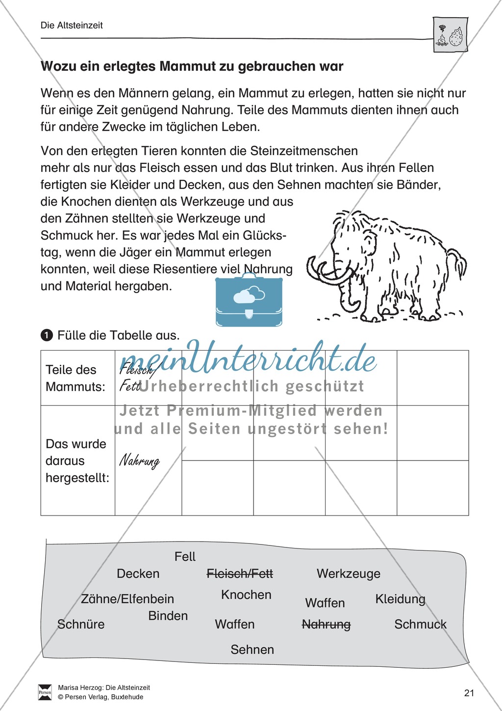Das Leben in der Altsteinzeit Preview 12