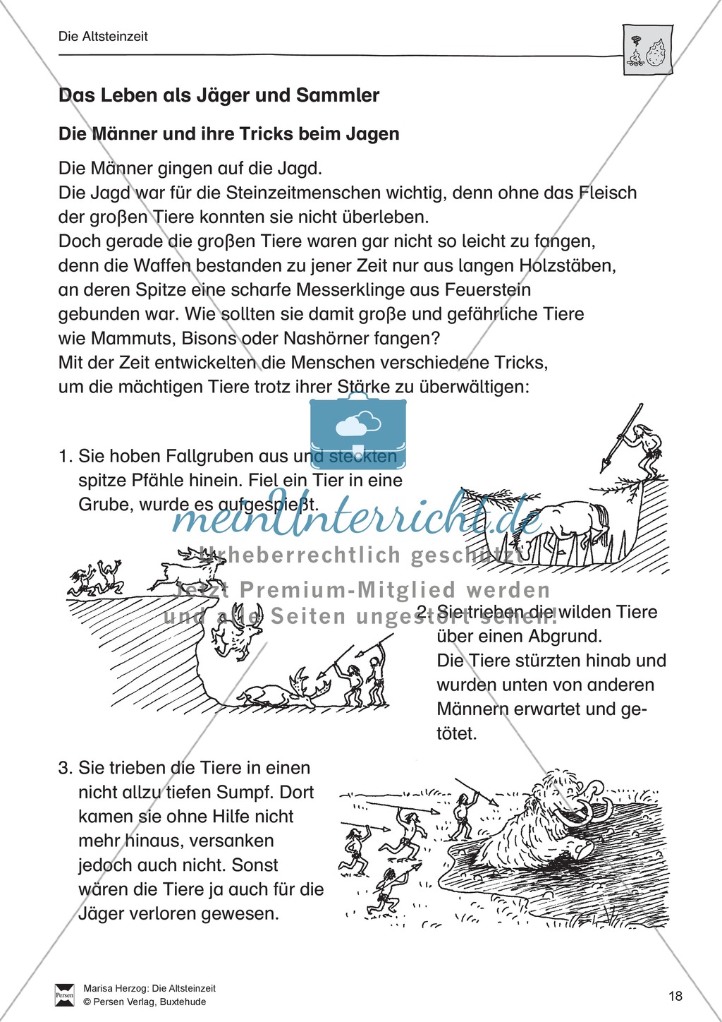 Das Leben in der Altsteinzeit Preview 9