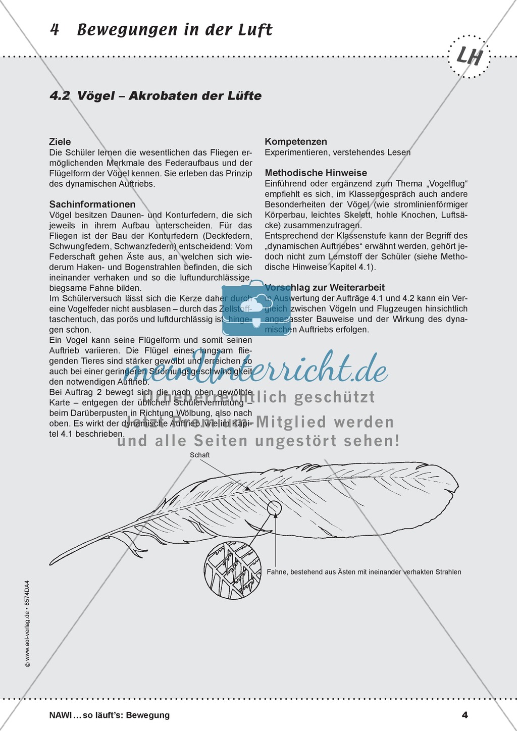 Bewegungen in der Luft: Fliegen, Schweben, Segeln Preview 3