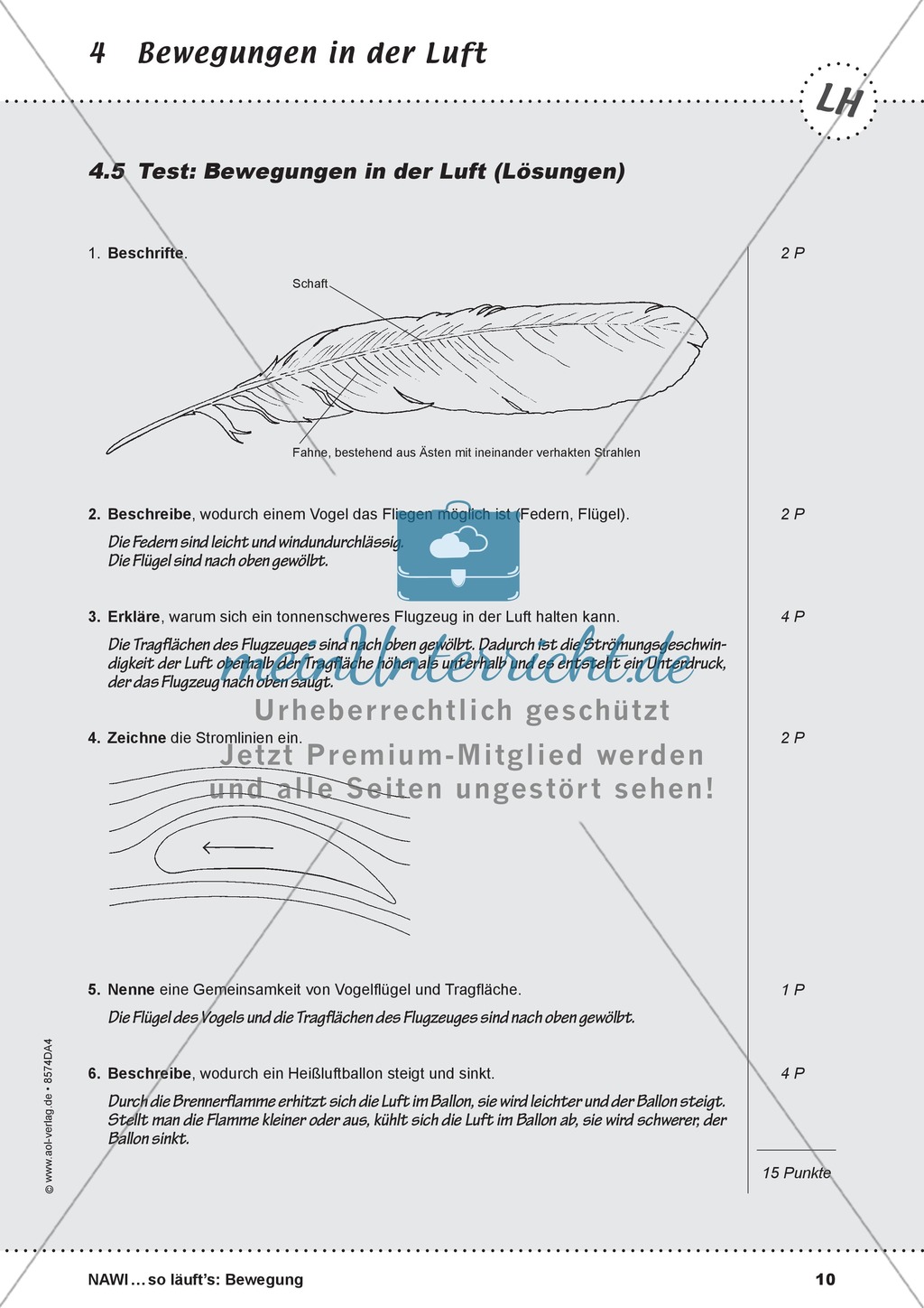 Test zu Bewegungen in der Luft: Fliegen, Schweben, Segeln Preview 1