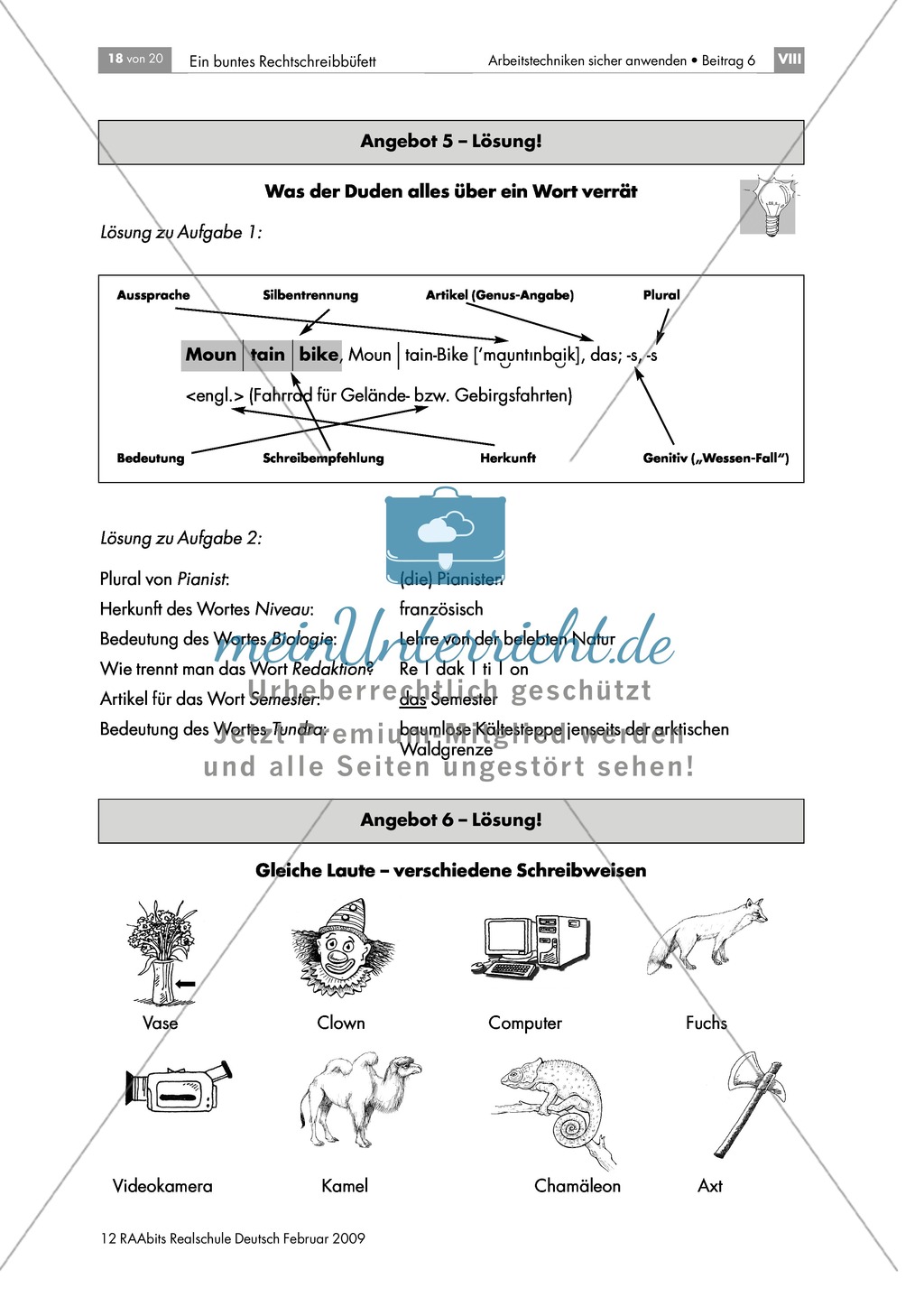 Lerntheke zur Arbeit mit dem Wörterbuch: Angaben zu Herkunft, Bedeutung, Pluralbildung, Trennung und Artikeln von Wörtern machen können Preview 2
