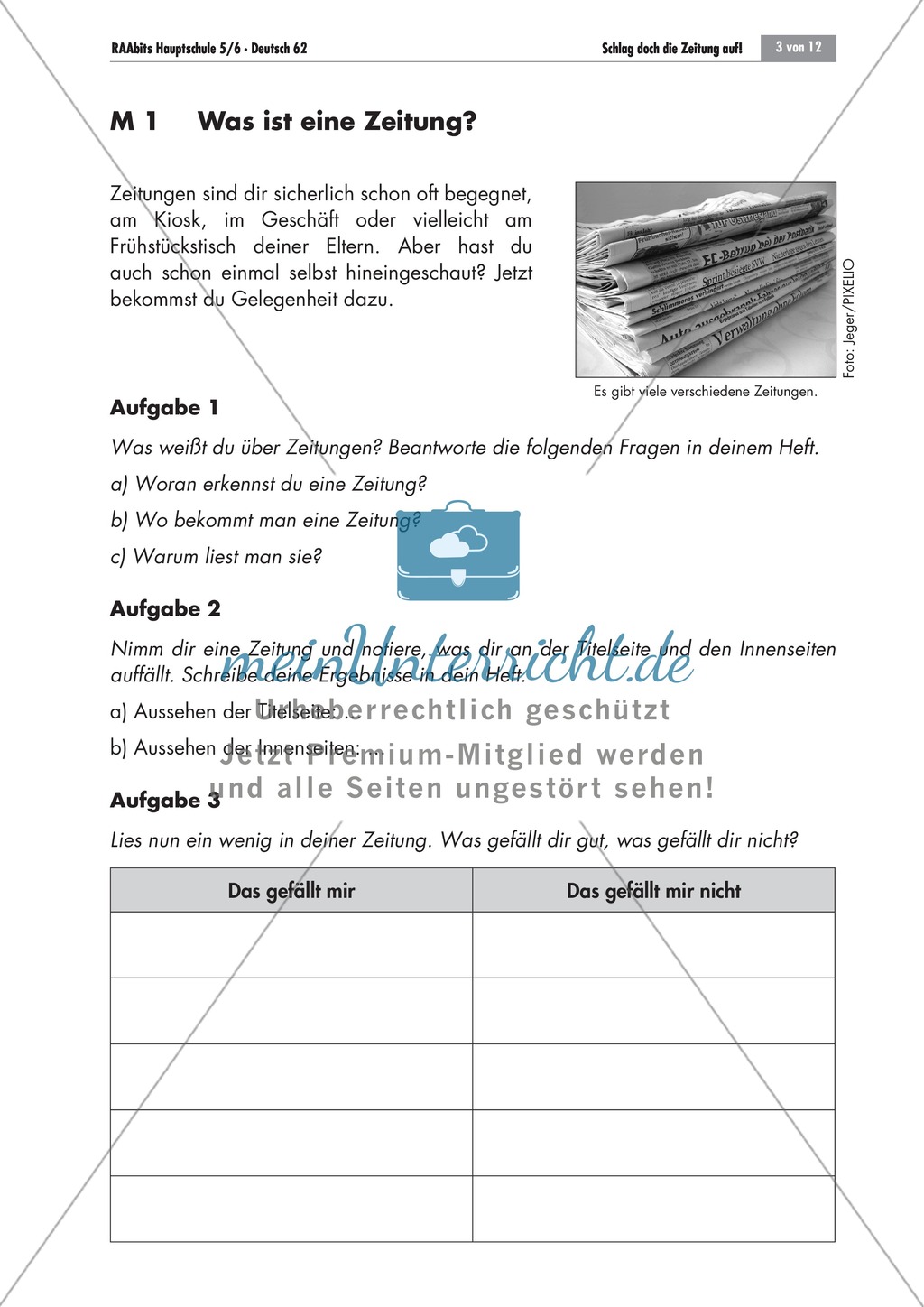 Die Zeitung als Informationsmedium: Struktur + Inhalt + Verfassen von Zeitungsartikeln Preview 1