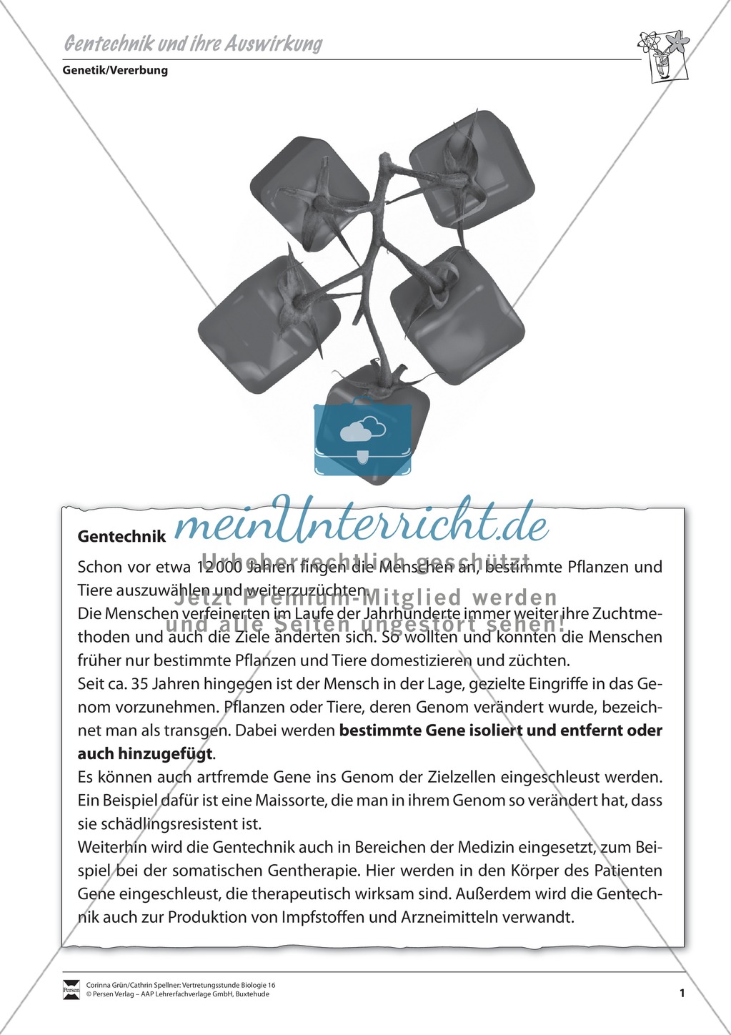 Material für Vertretungsstunden: Gentechnik und ihre Auswirkung Preview 1