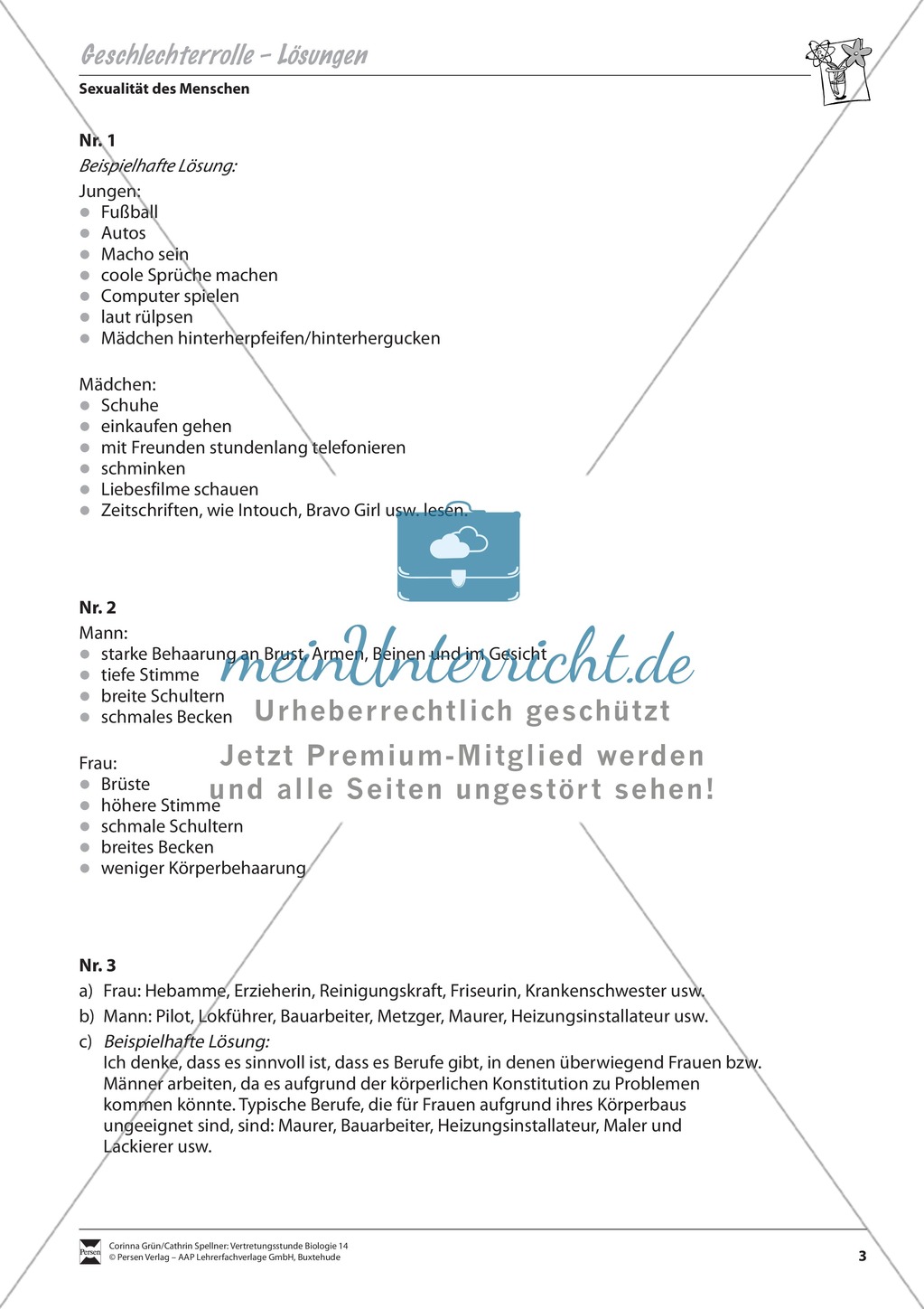 Geschlechterrollen Preview 3