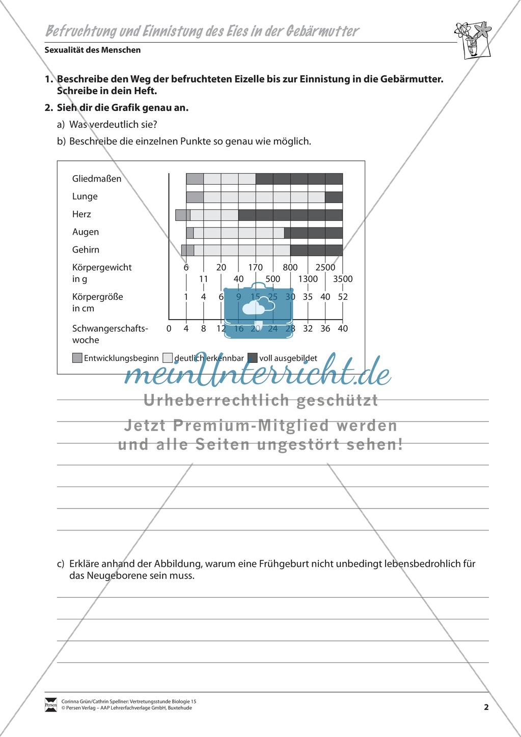 Befruchtung und Einnistung des Eies in der Gebärmutter Preview 2