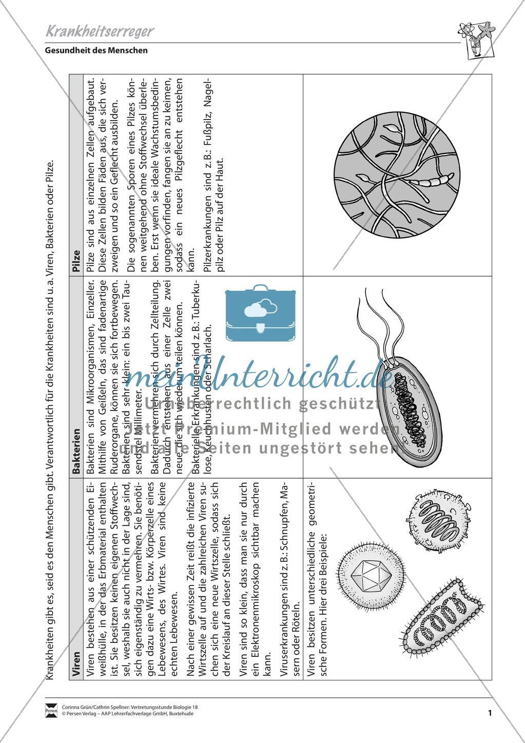 Krankheitserreger (Virus und Bakterium) Preview 1