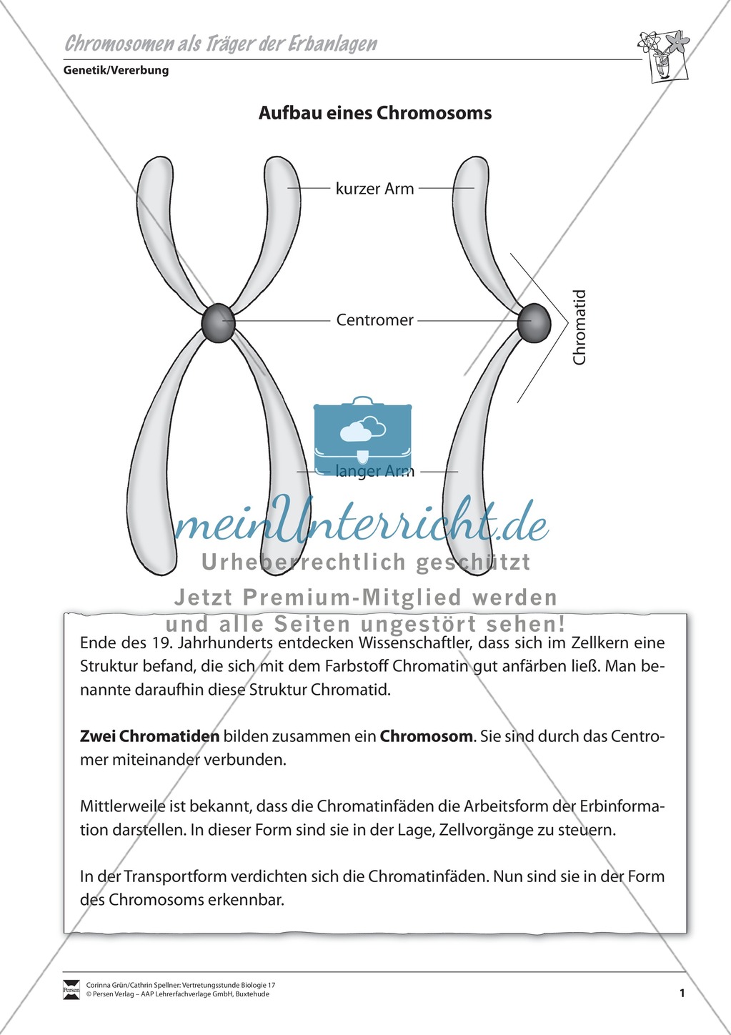 Chromosomen als Träger der Erbanlagen Preview 1