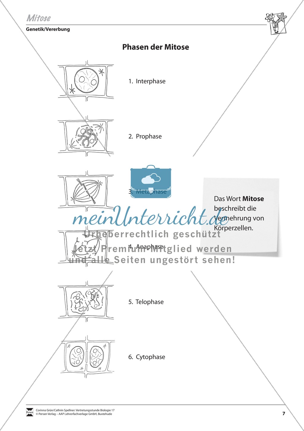 Die Mitose Preview 1