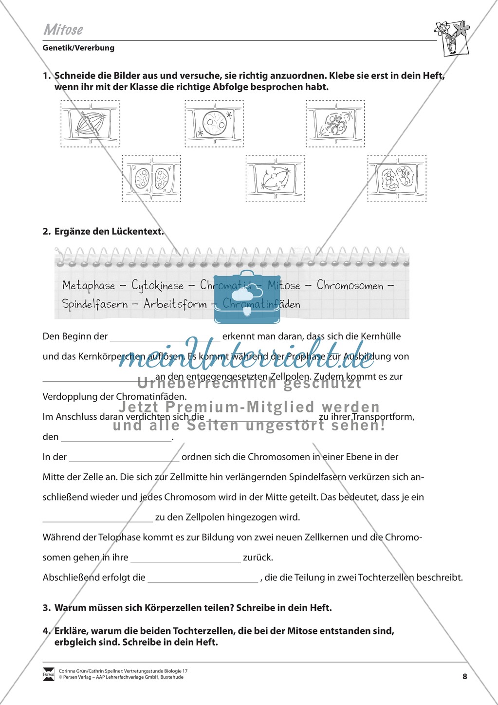 Die Mitose Preview 2
