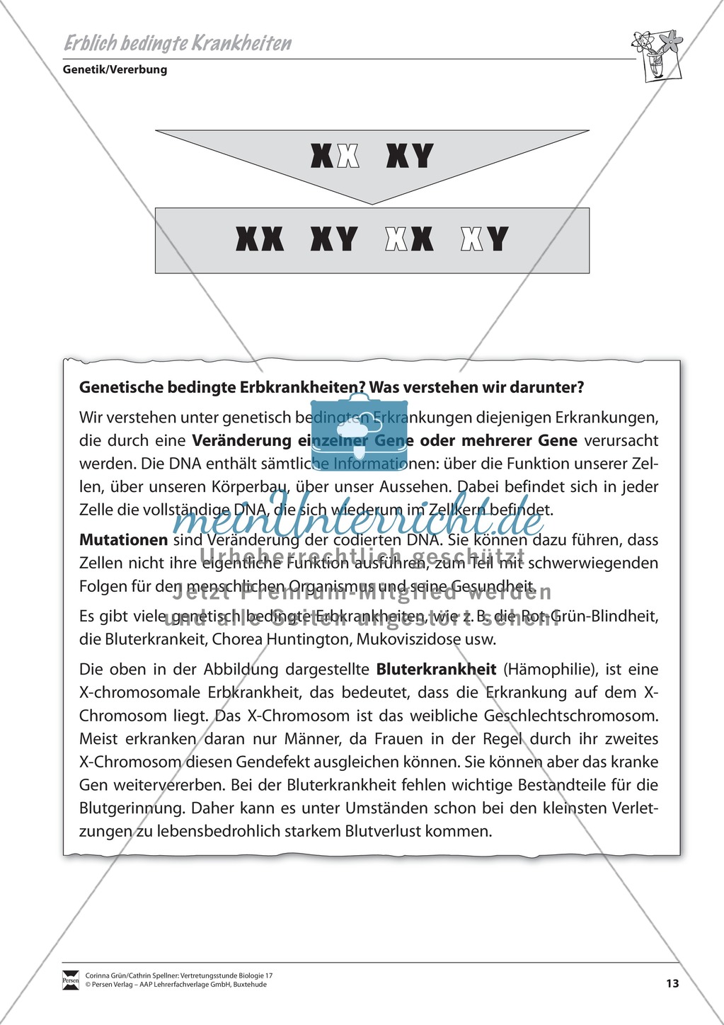 Erblich bedingte Krankheiten Preview 1