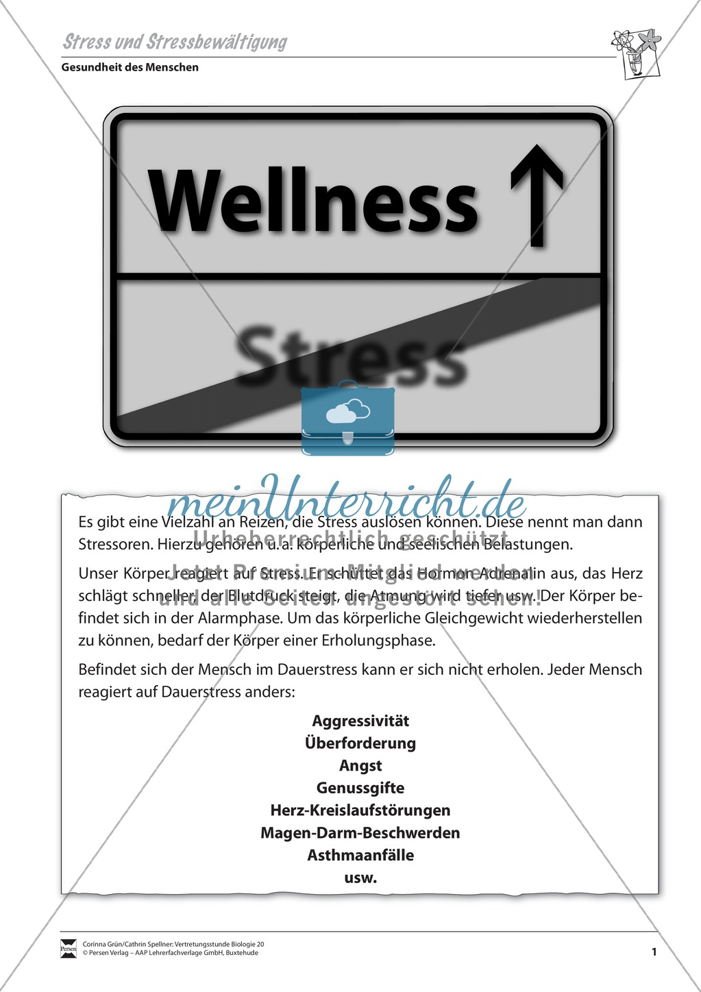 Stress und Stressbewältigung Preview 1