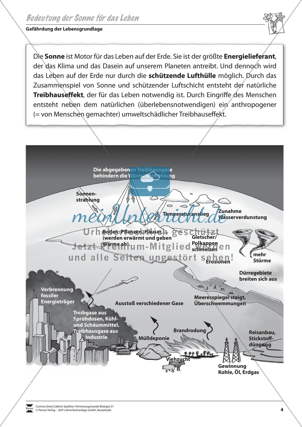 Bedeutung der Sonne für das Leben Preview 1