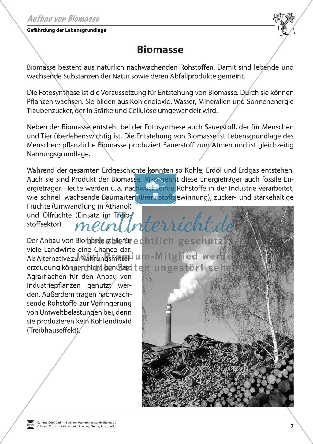 Der Aufbau von Biomasse Preview 1