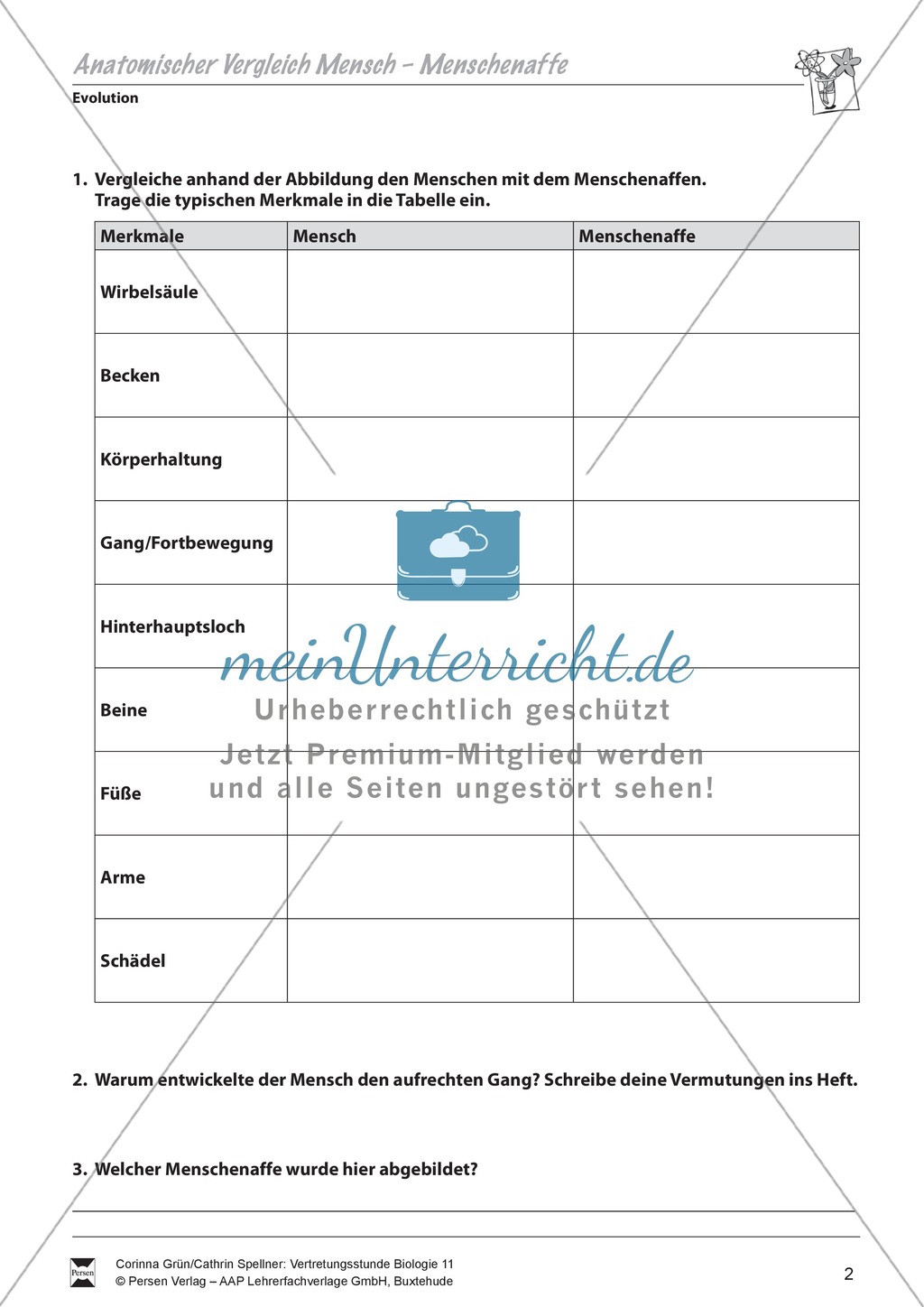 Anatomische Vergleich von Mensch und Menschenaffe Preview 2