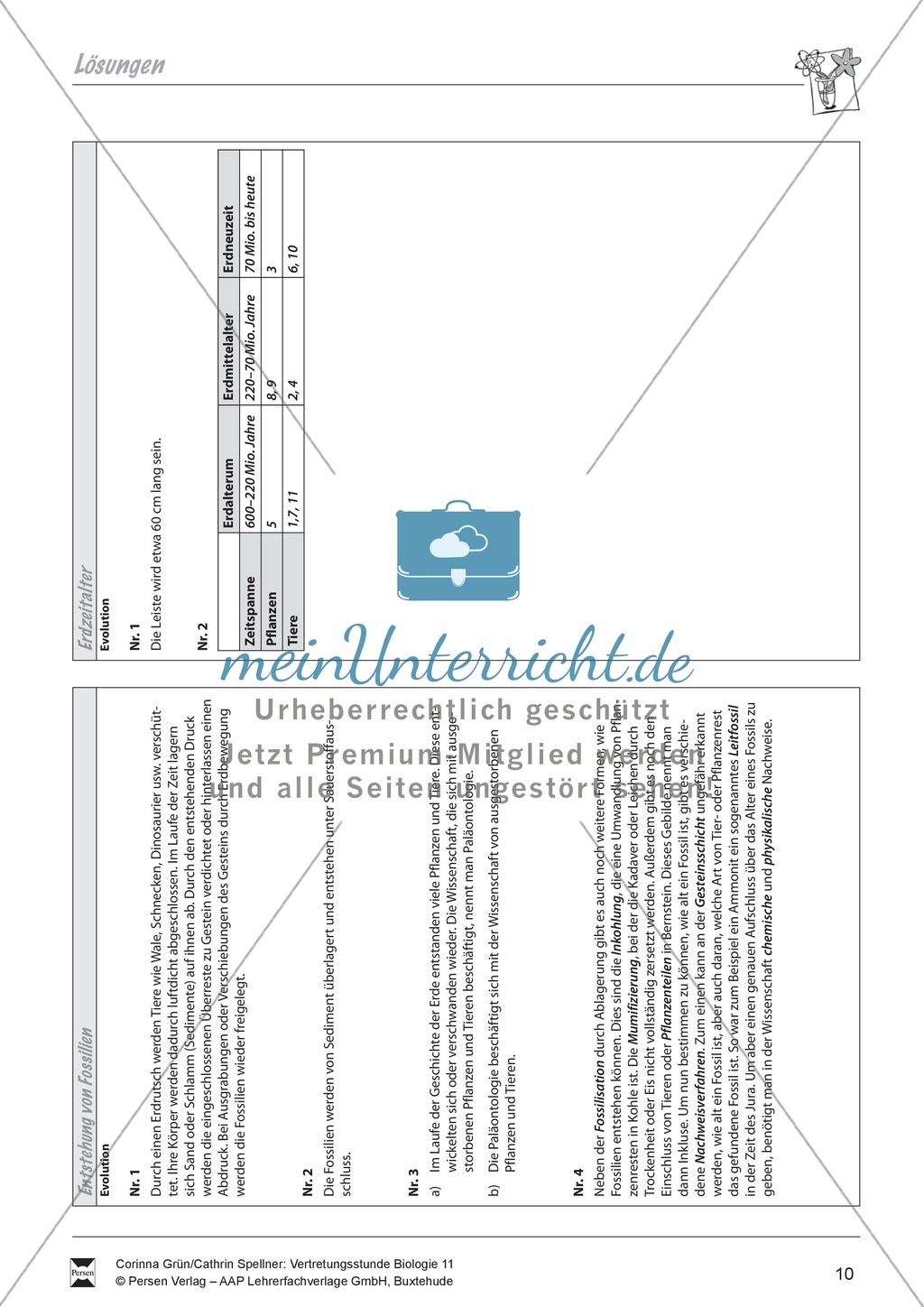 Die Entsethung von Fossilien Preview 3