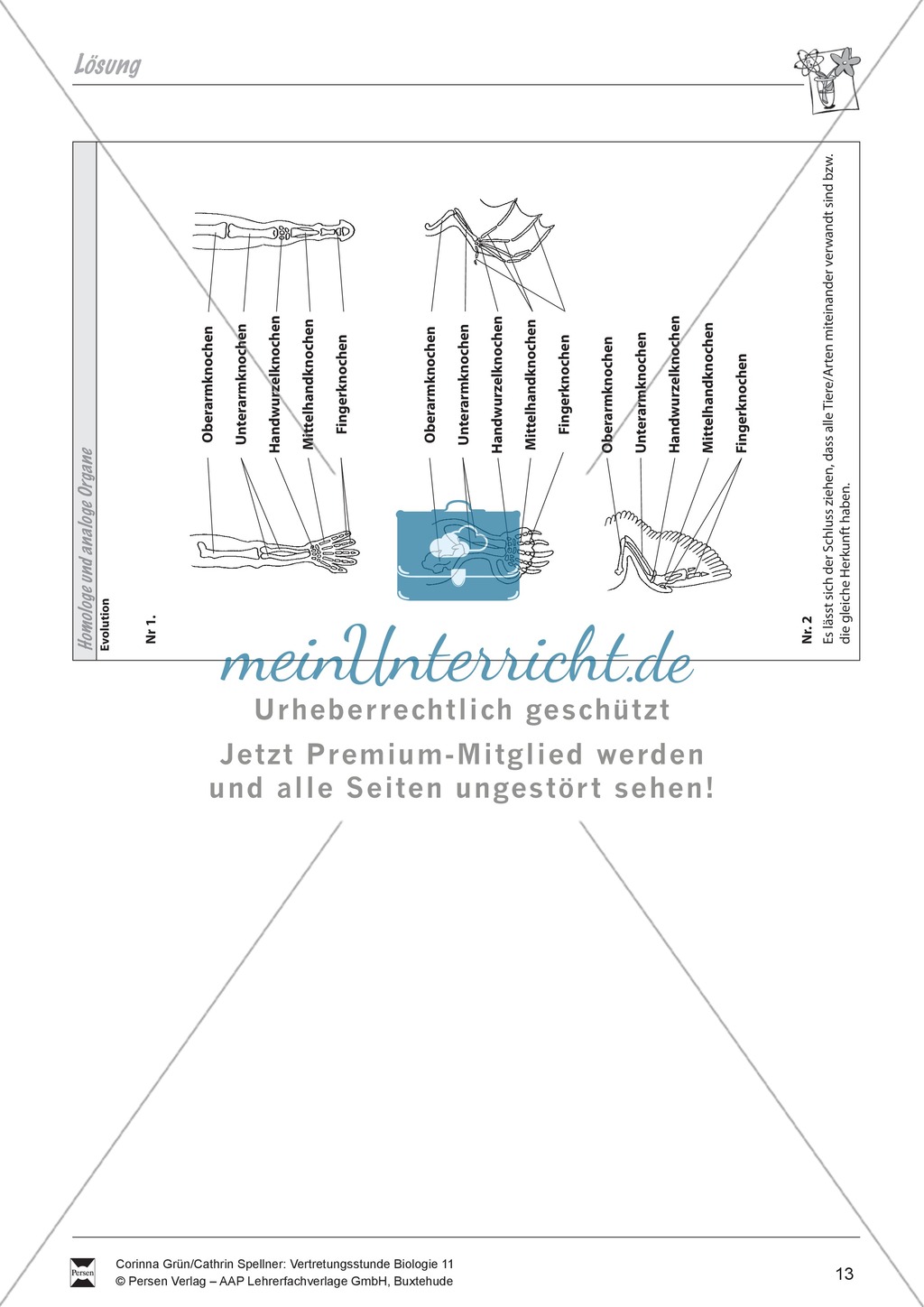 Homologe Organe Preview 3