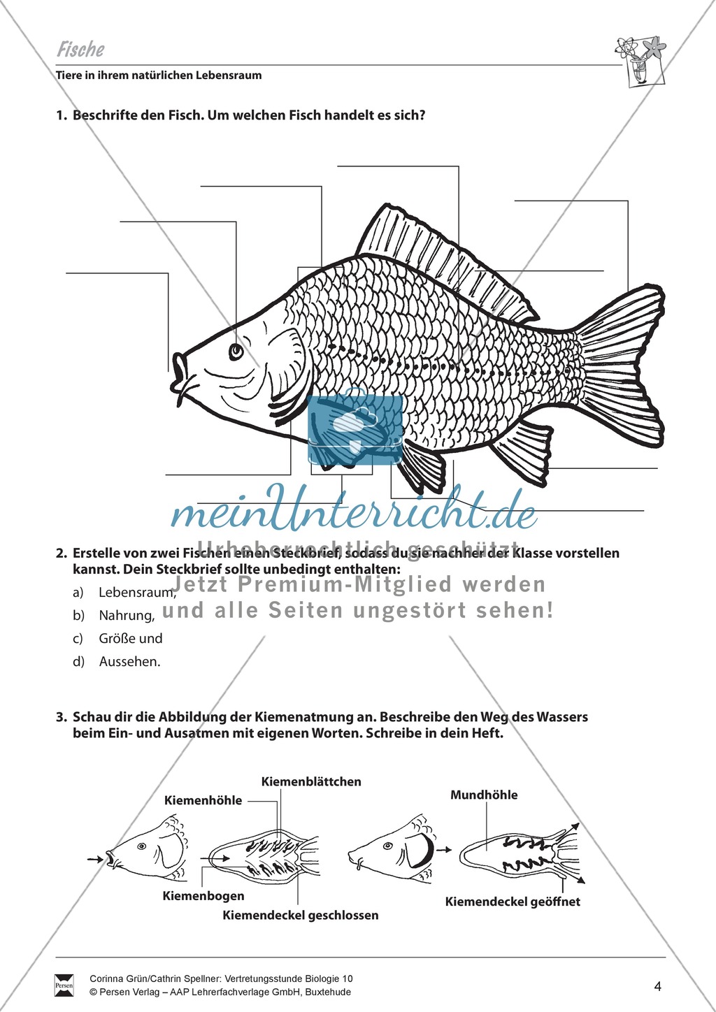 Fische Preview 2