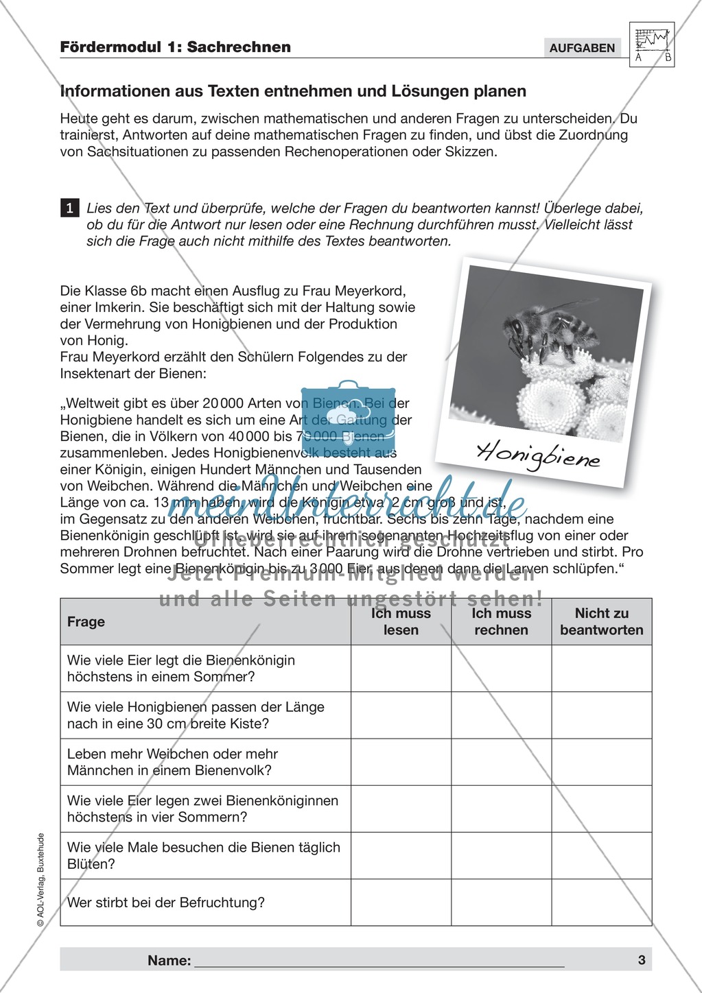 Sachrechnen: Informationen aus Texten entnehmen und Lösungen planen Preview 1